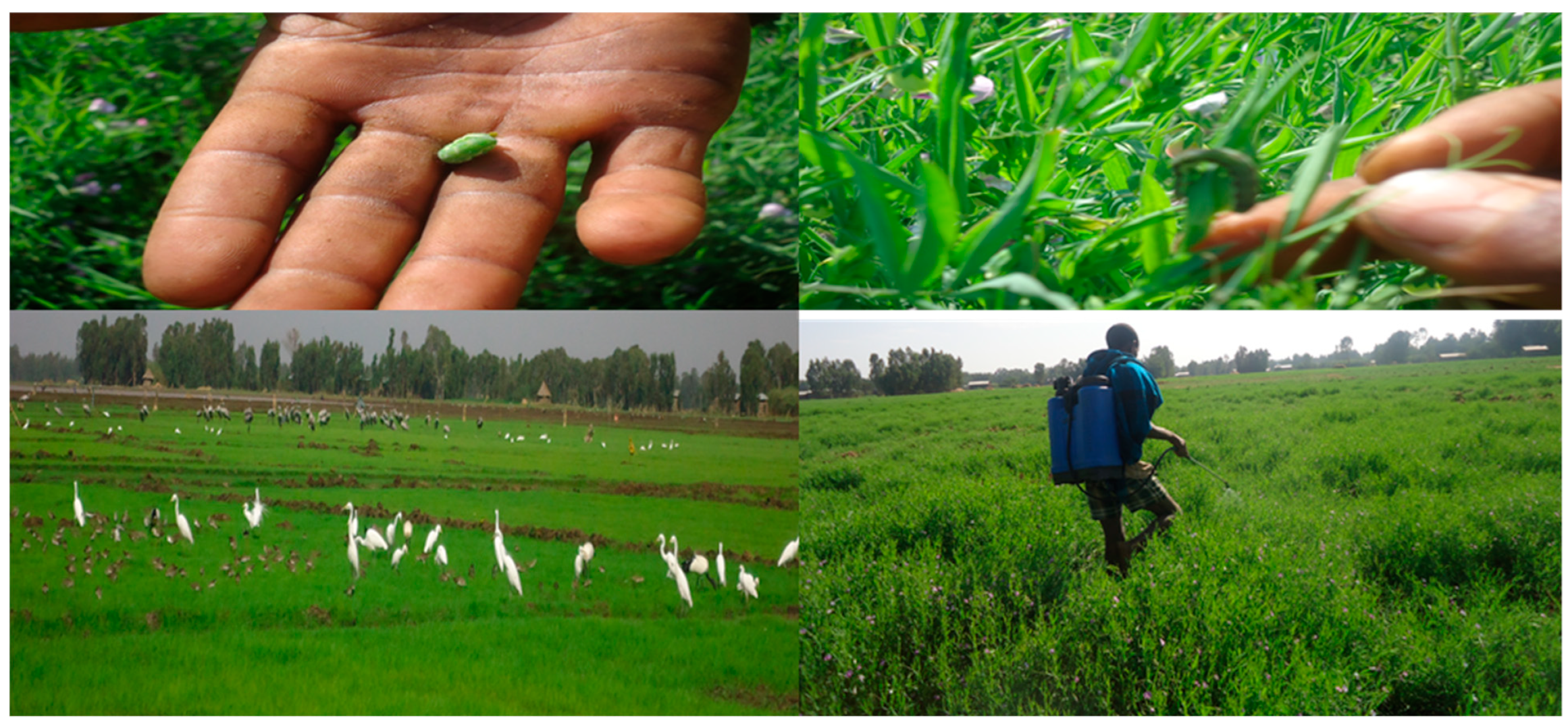 Ecologies 02 00022 g007