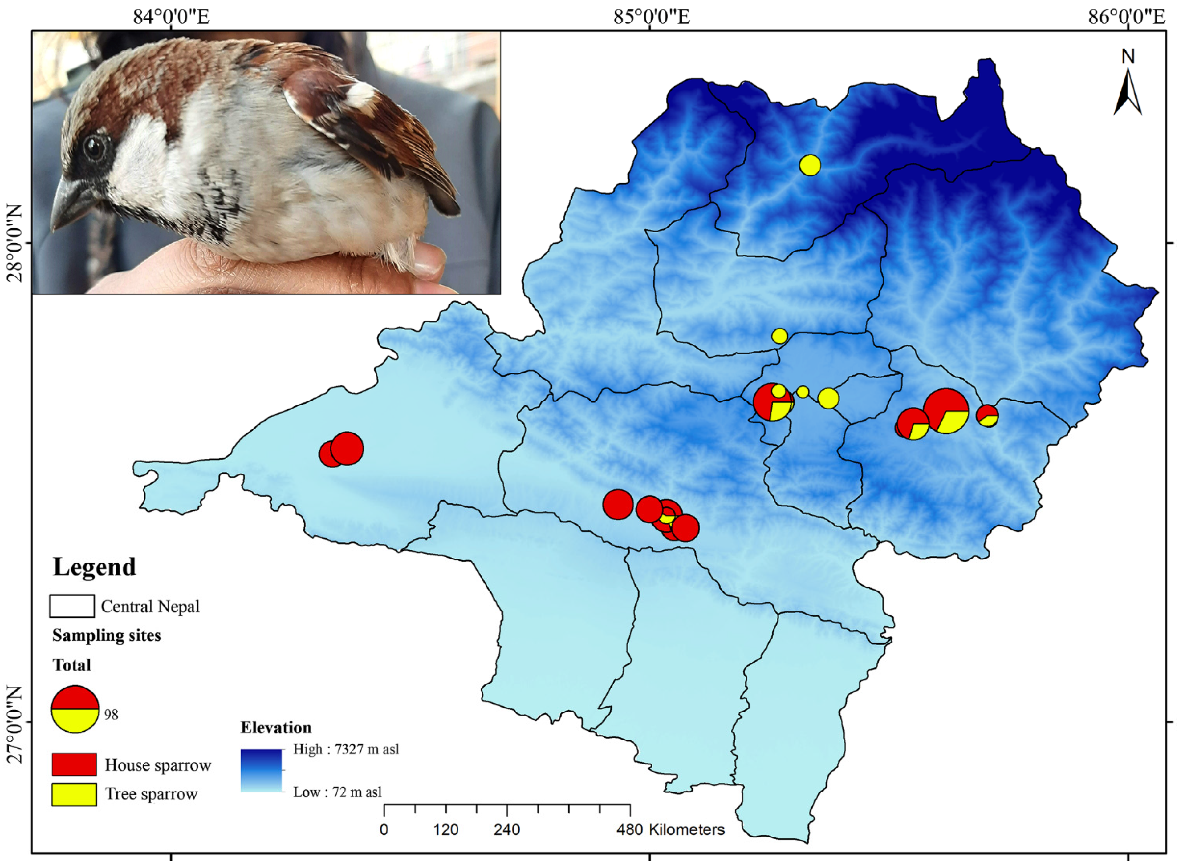 Ecologies 03 00034 g002