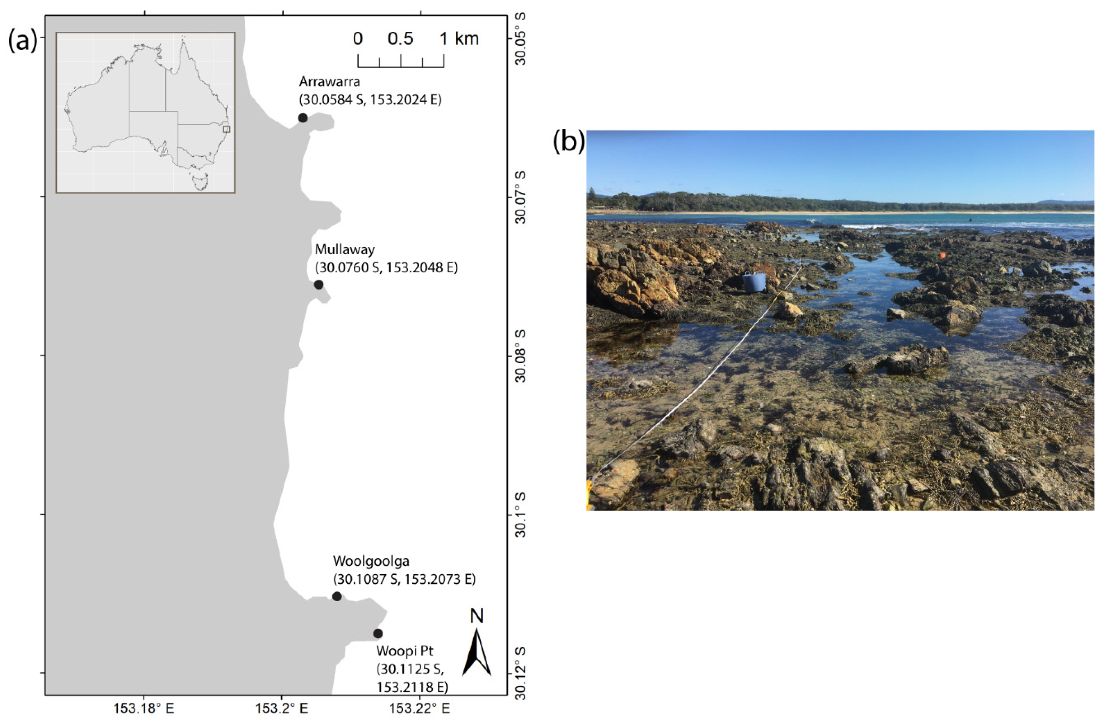 Ecologies 03 00037 g001