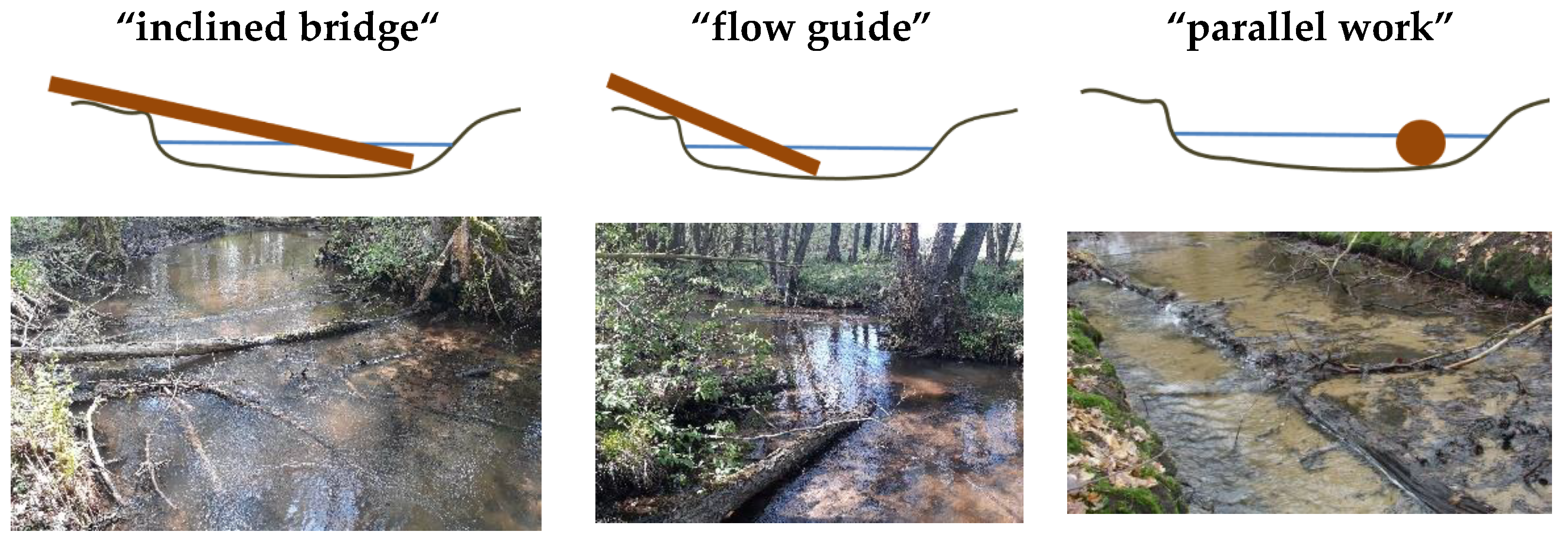 Ecologies 04 00008 g002 Ecologies 04 00008 g002