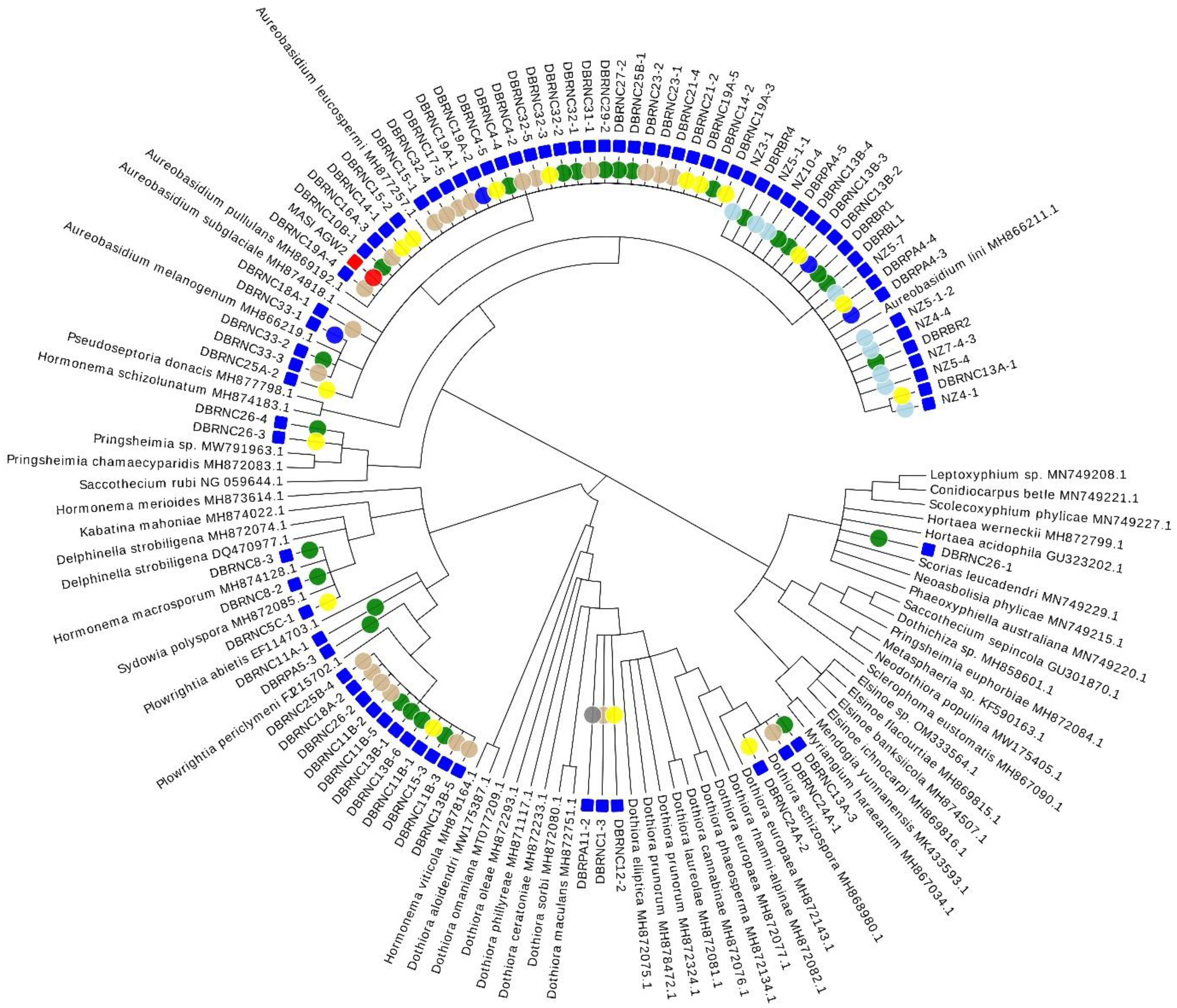 Ecologies 04 00012 g003