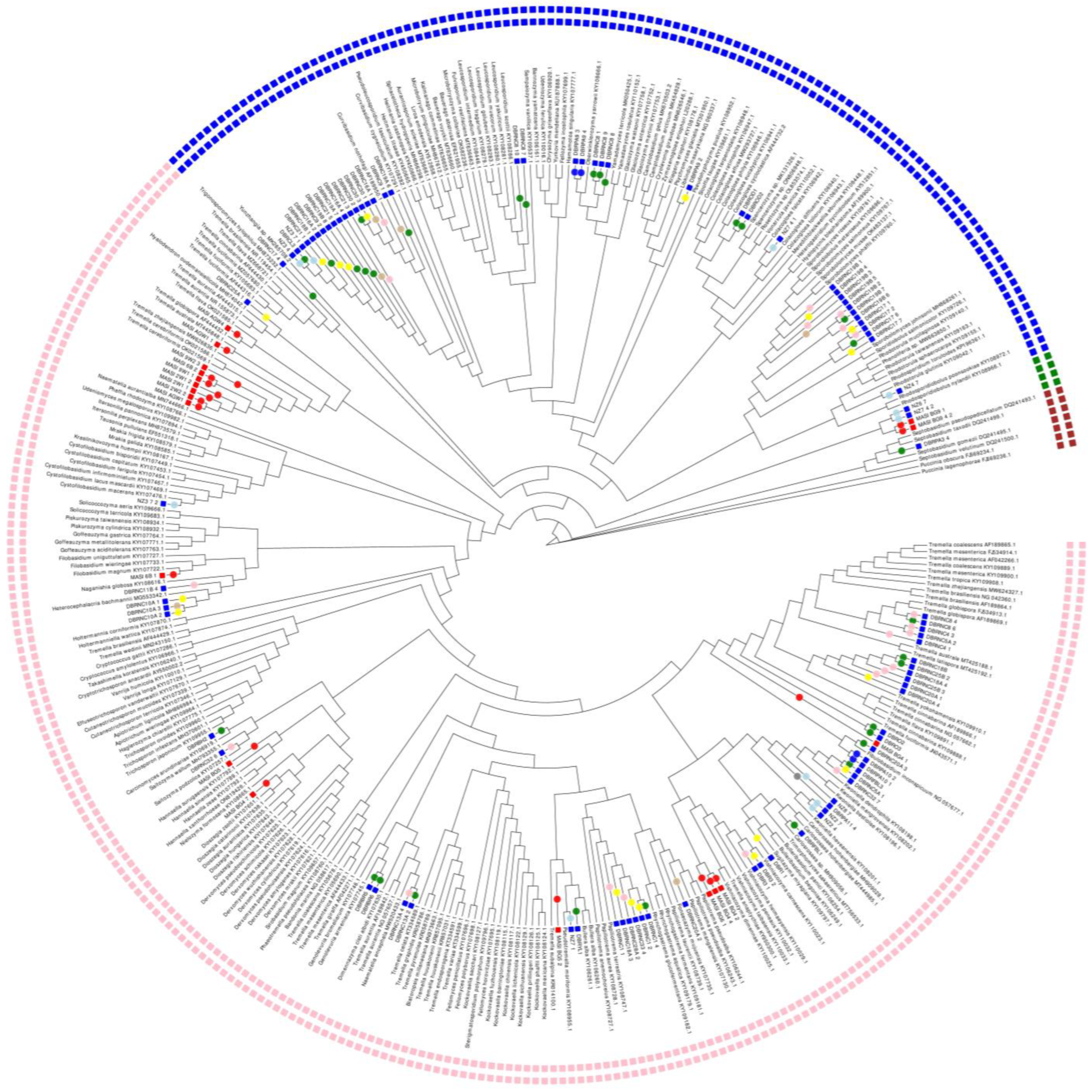 Ecologies 04 00012 g005