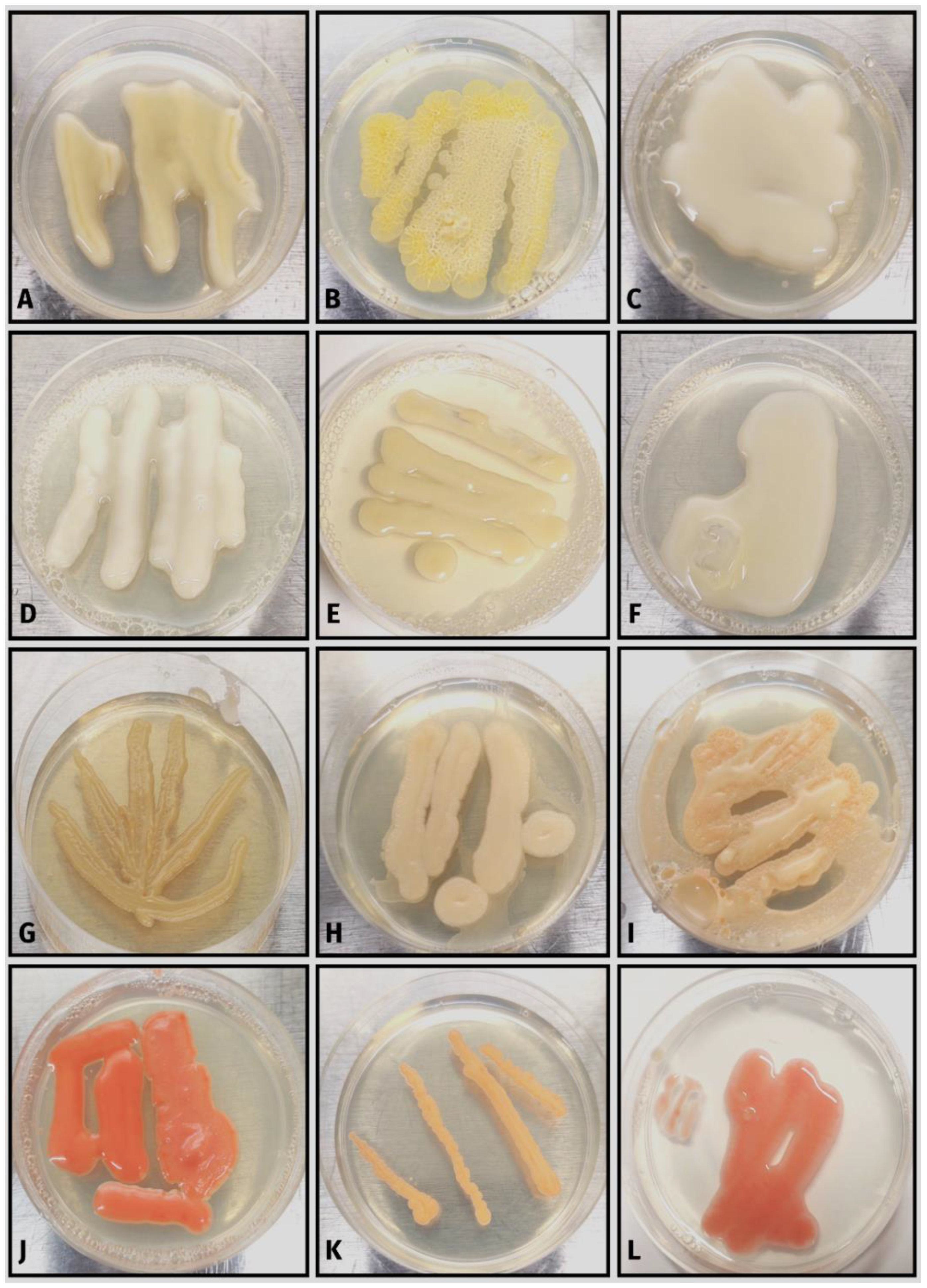 Ecologies 04 00012 g006