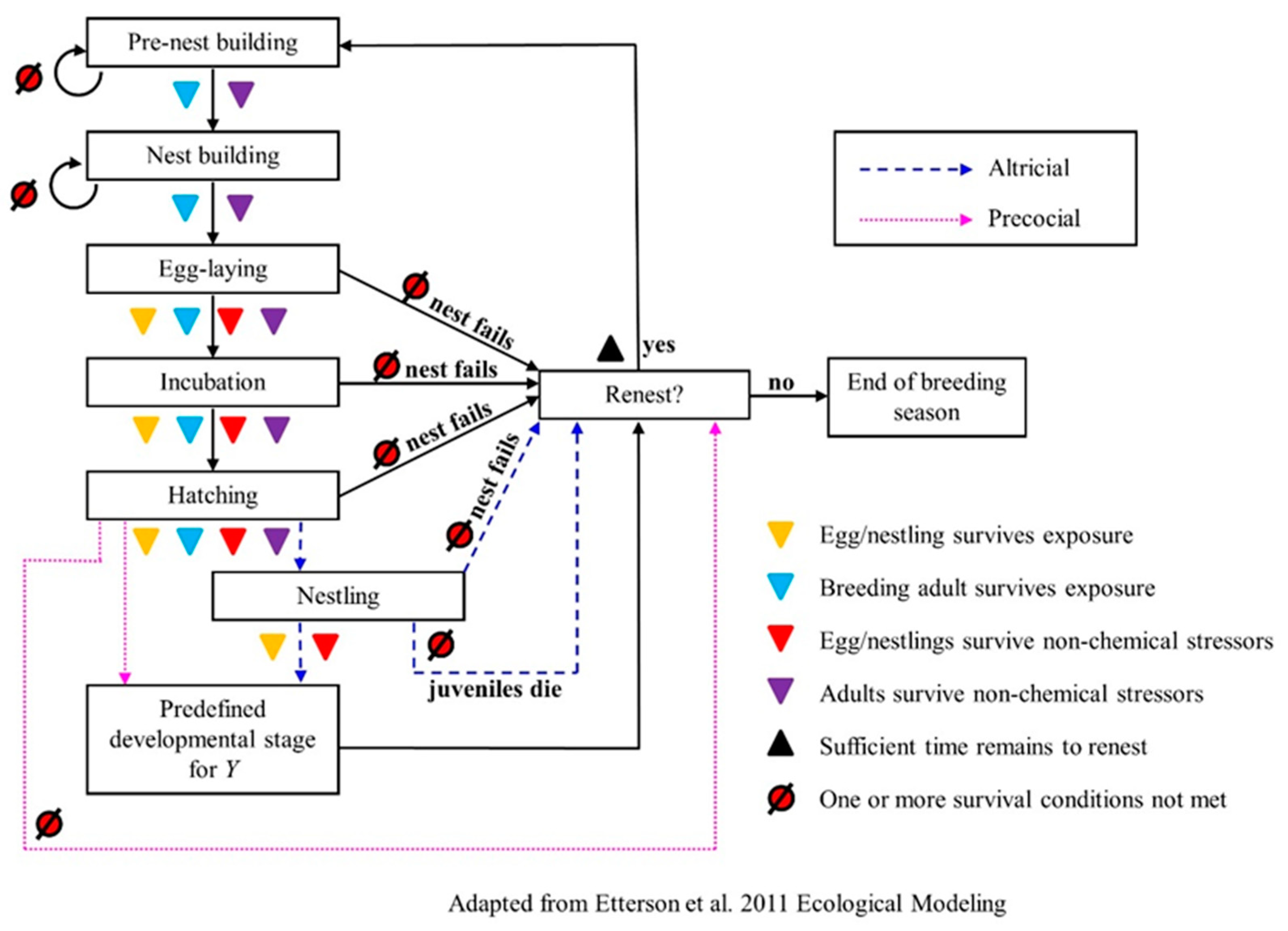 Ecologies 04 00013 g003