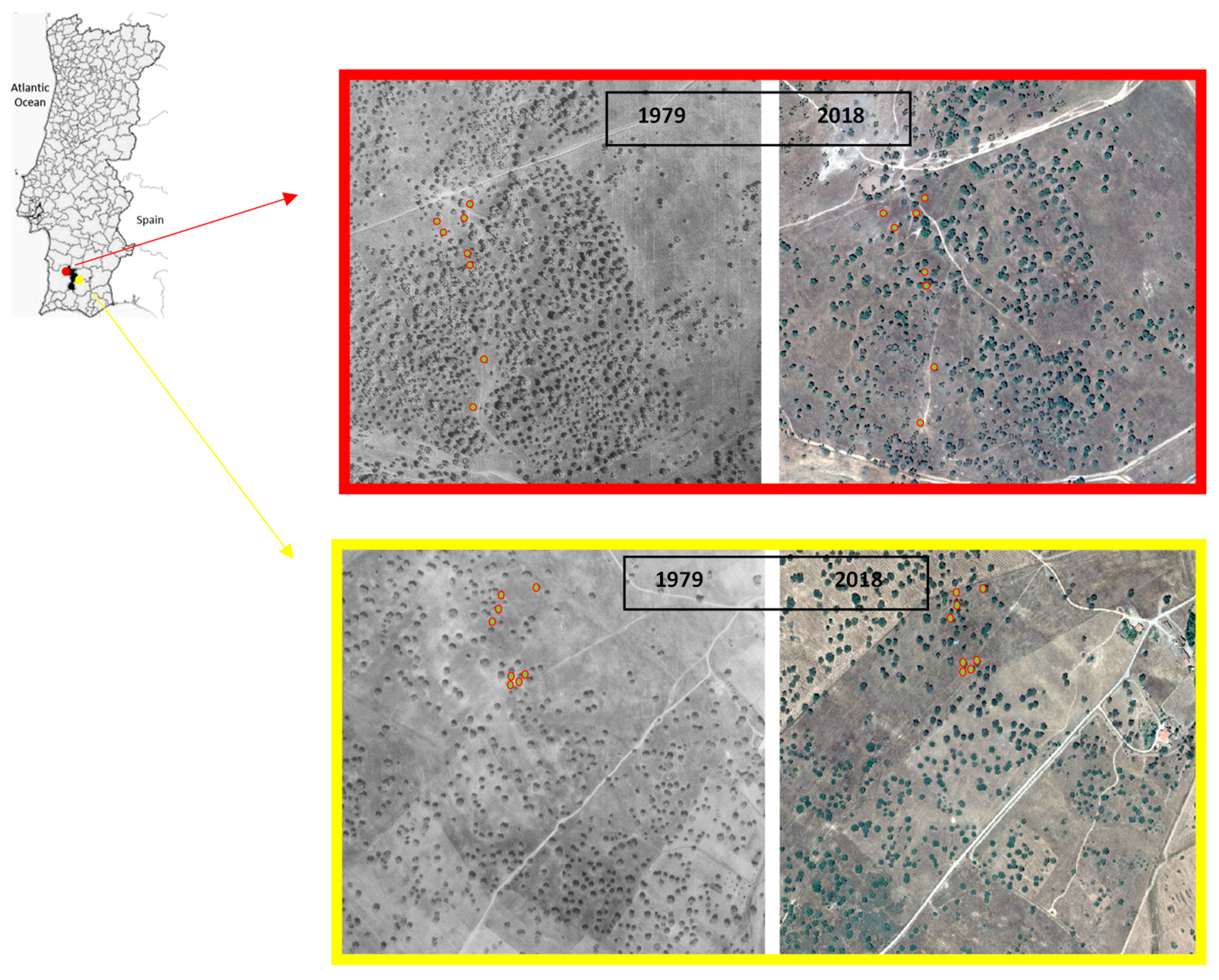 Ecologies 04 00016 g001