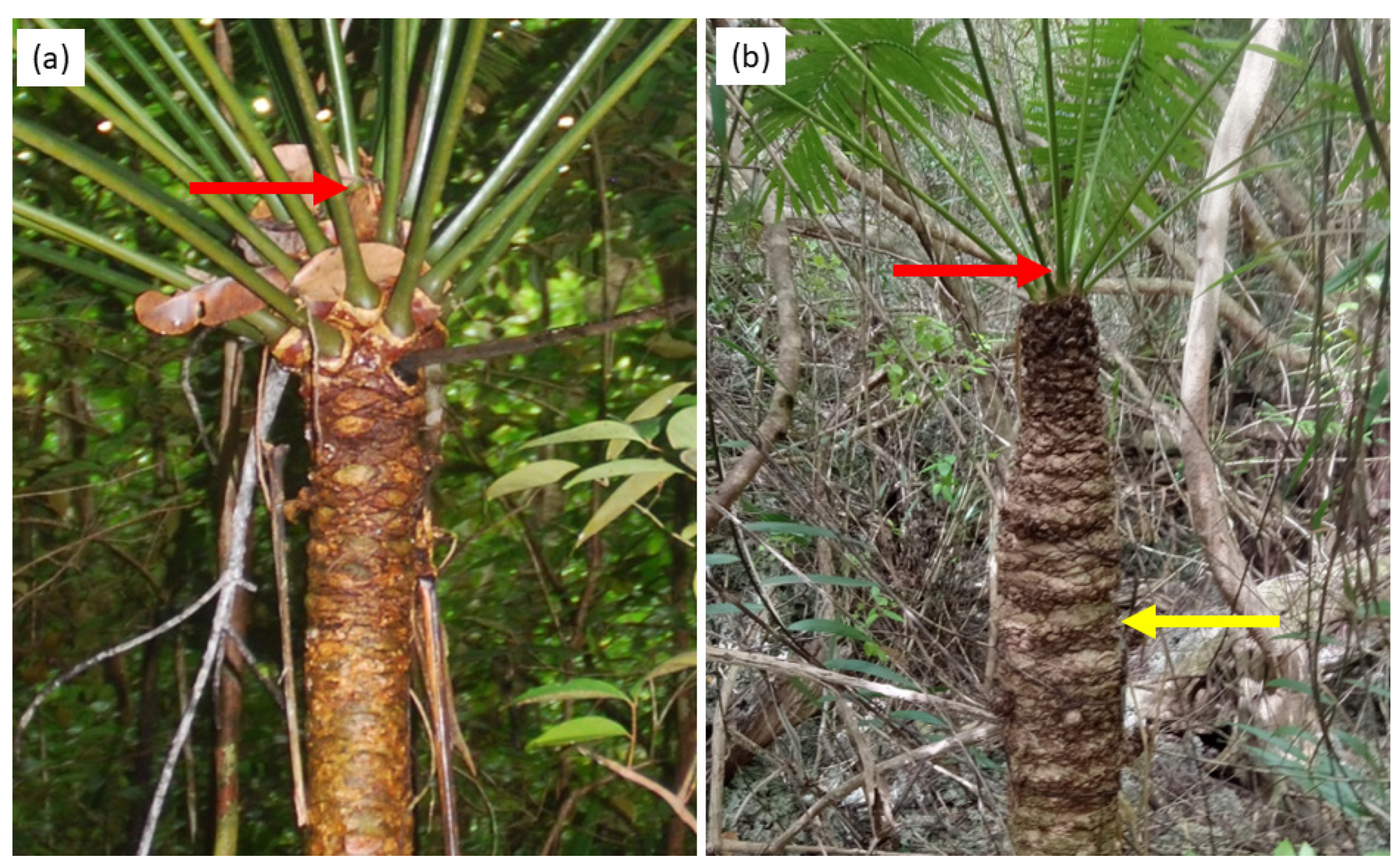 Ecologies 04 00024 g005