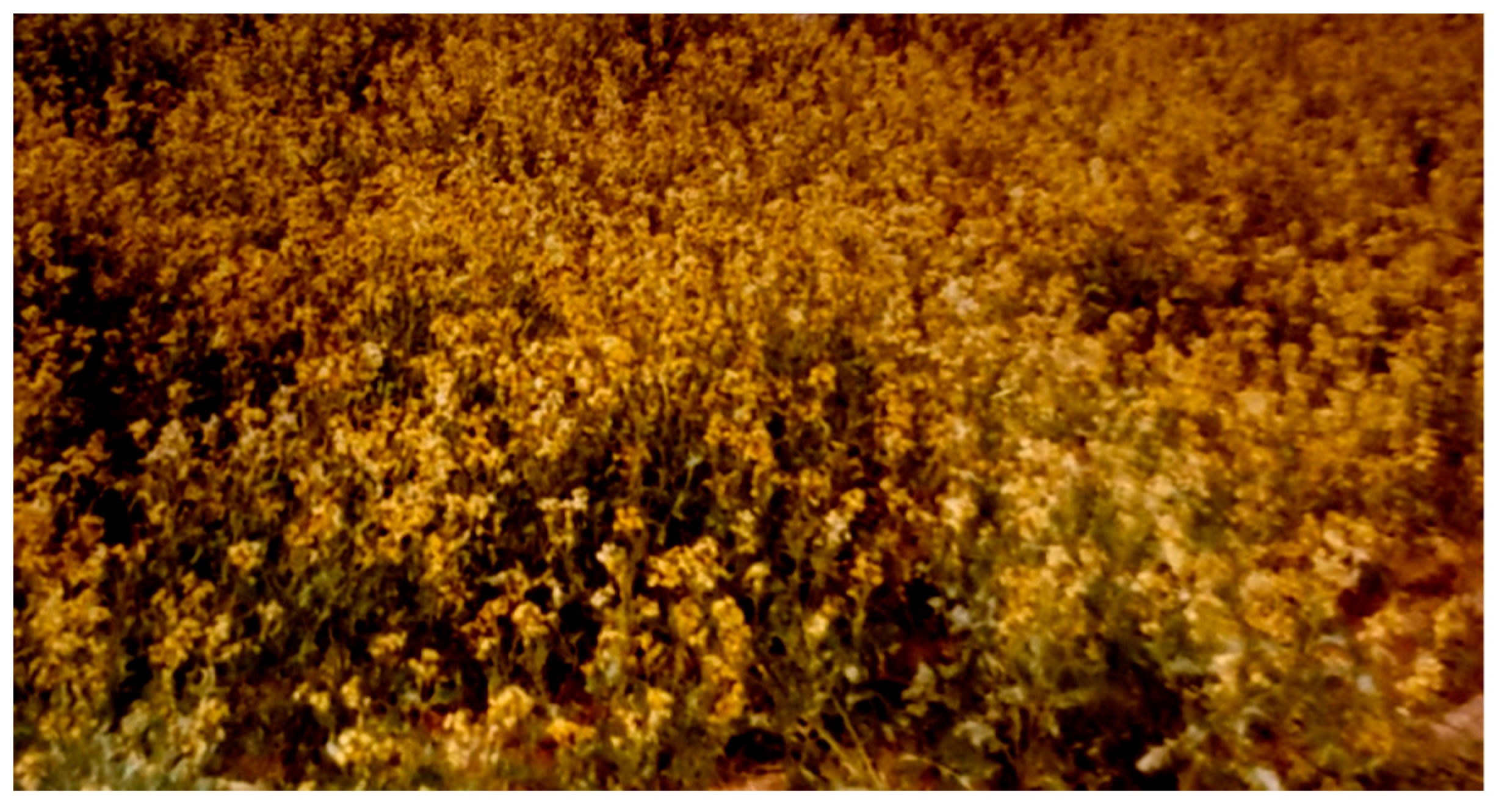 Ecologies 04 00038 g001