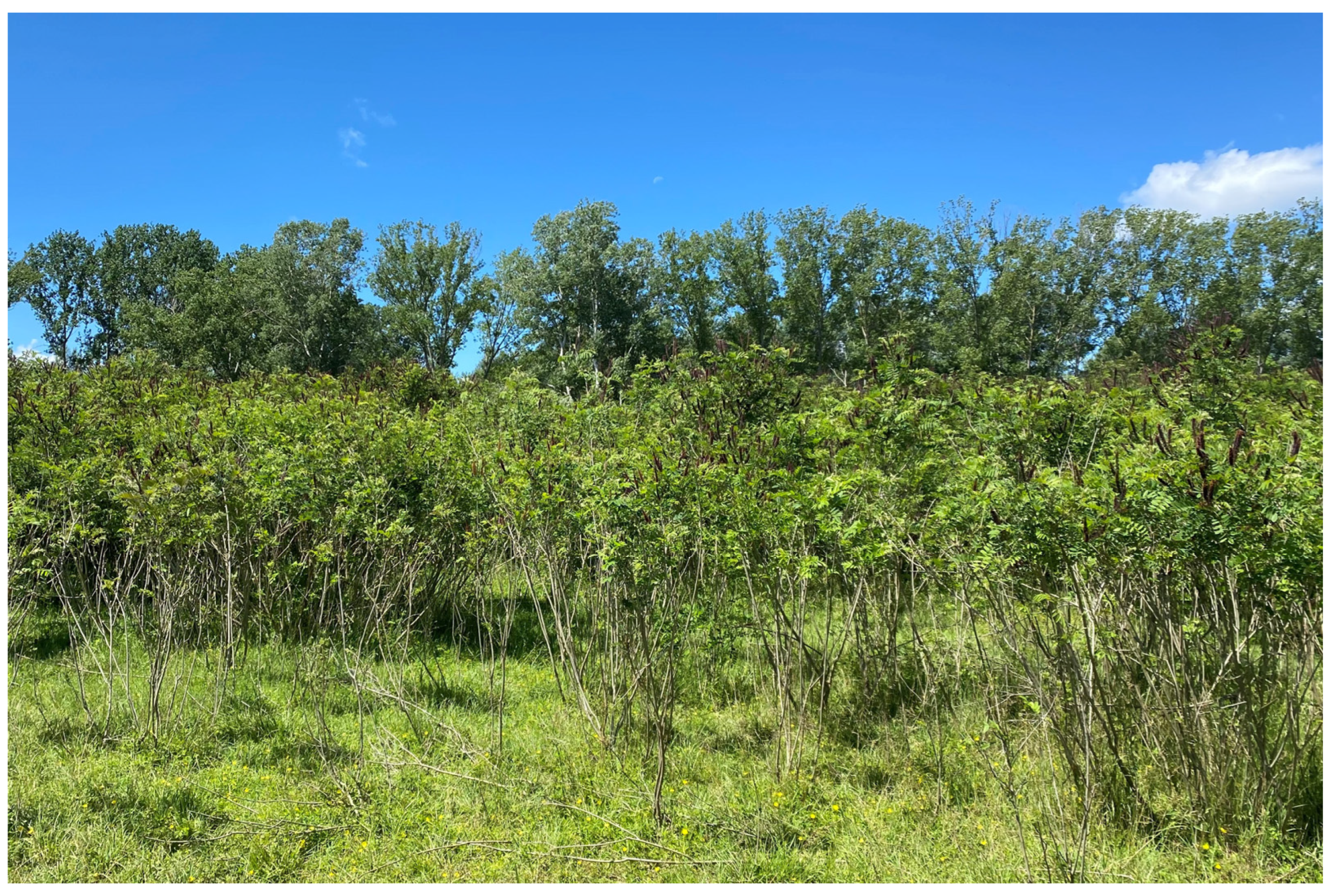 Ecologies 04 00041 g001