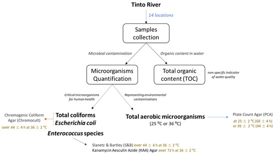 Ecologies 05 00012 g0a1