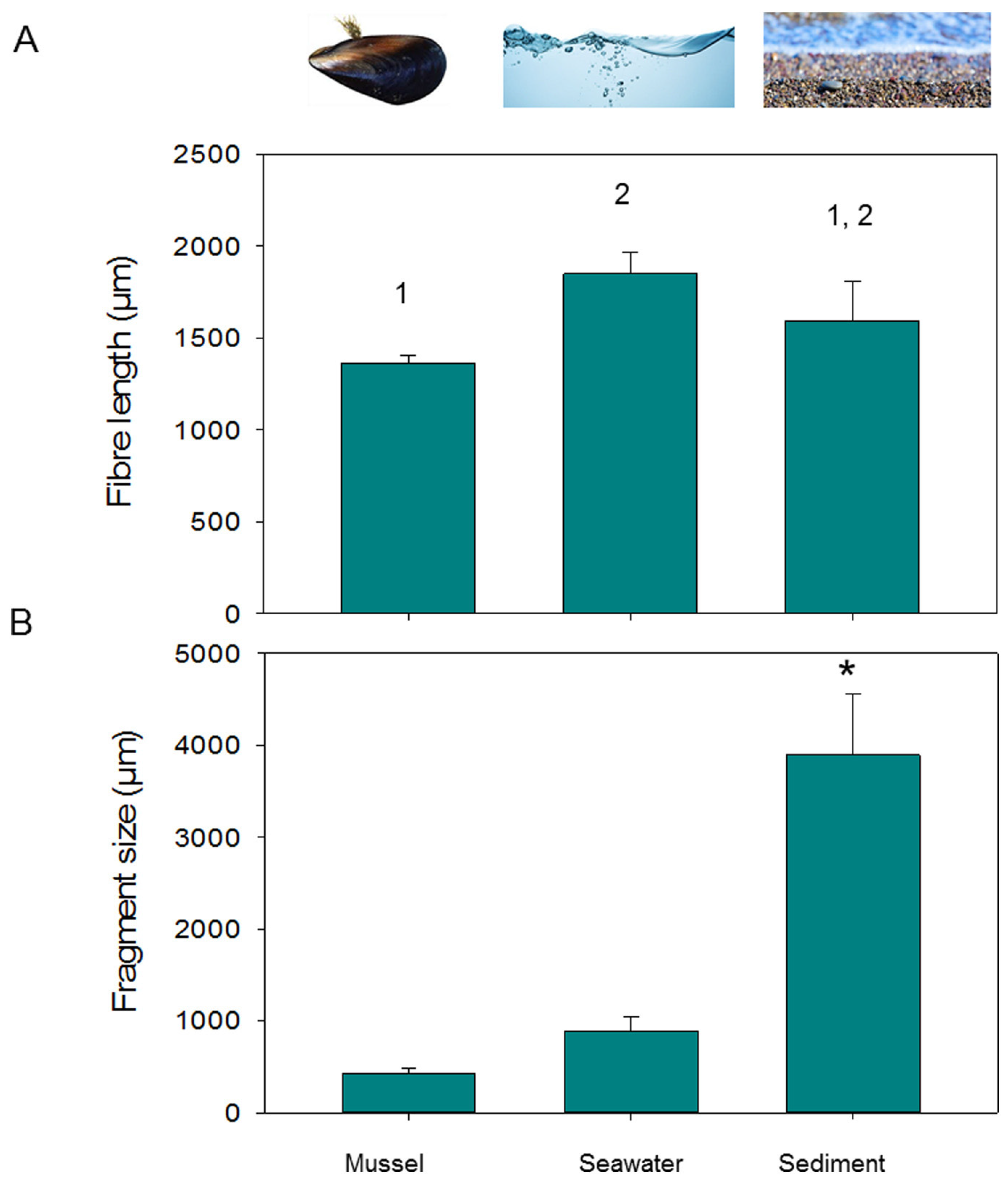 Ecologies 05 00040 g003