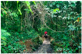 Ecologies 06 00002 i001