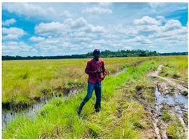 Ecologies 06 00002 i004