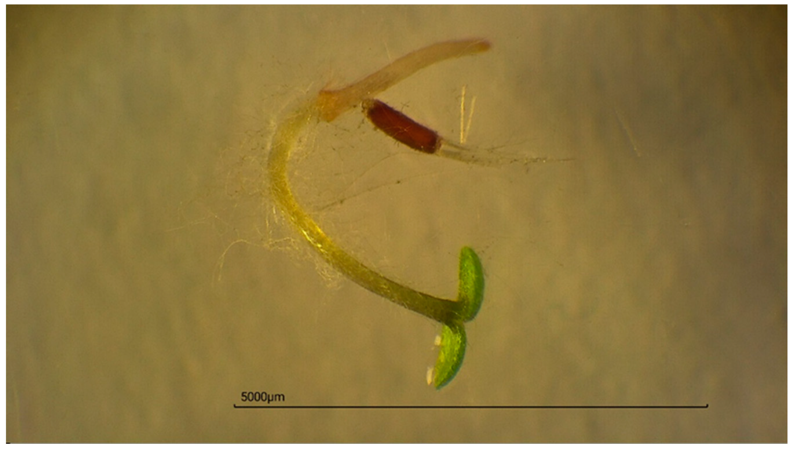 Ecologies 06 00028 g001