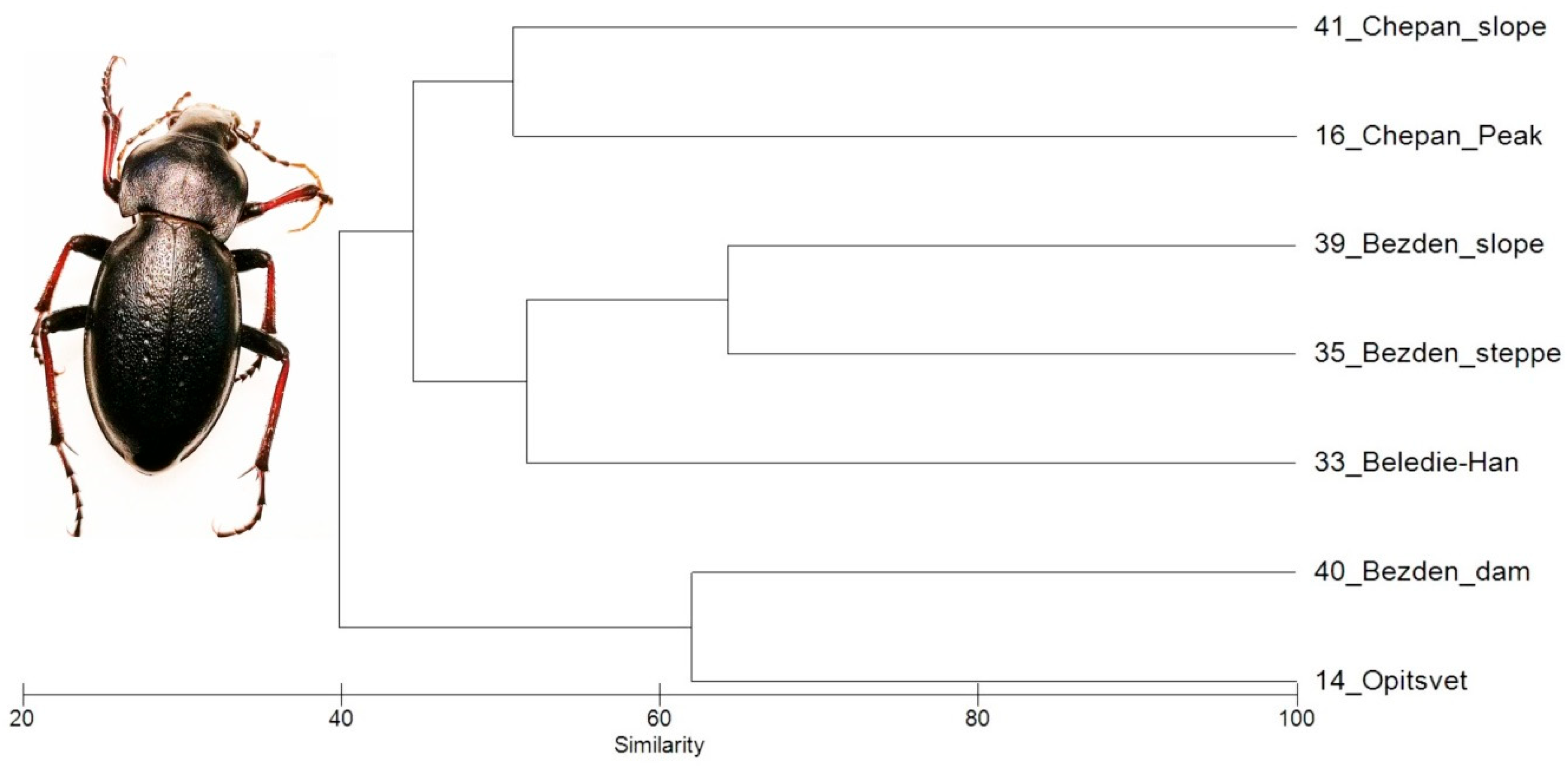 Ecologies 06 00040 g004