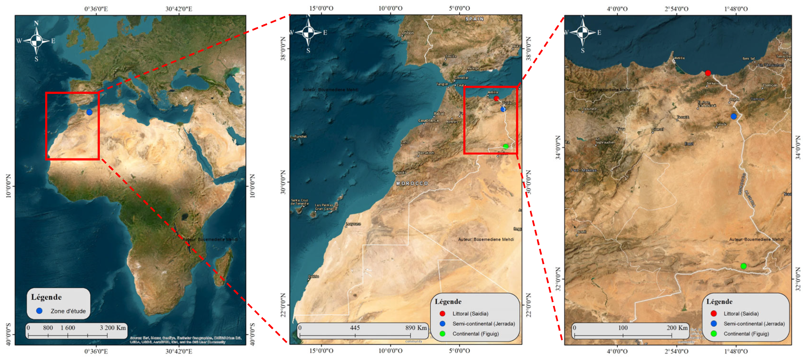 Ecologies 06 00043 g001