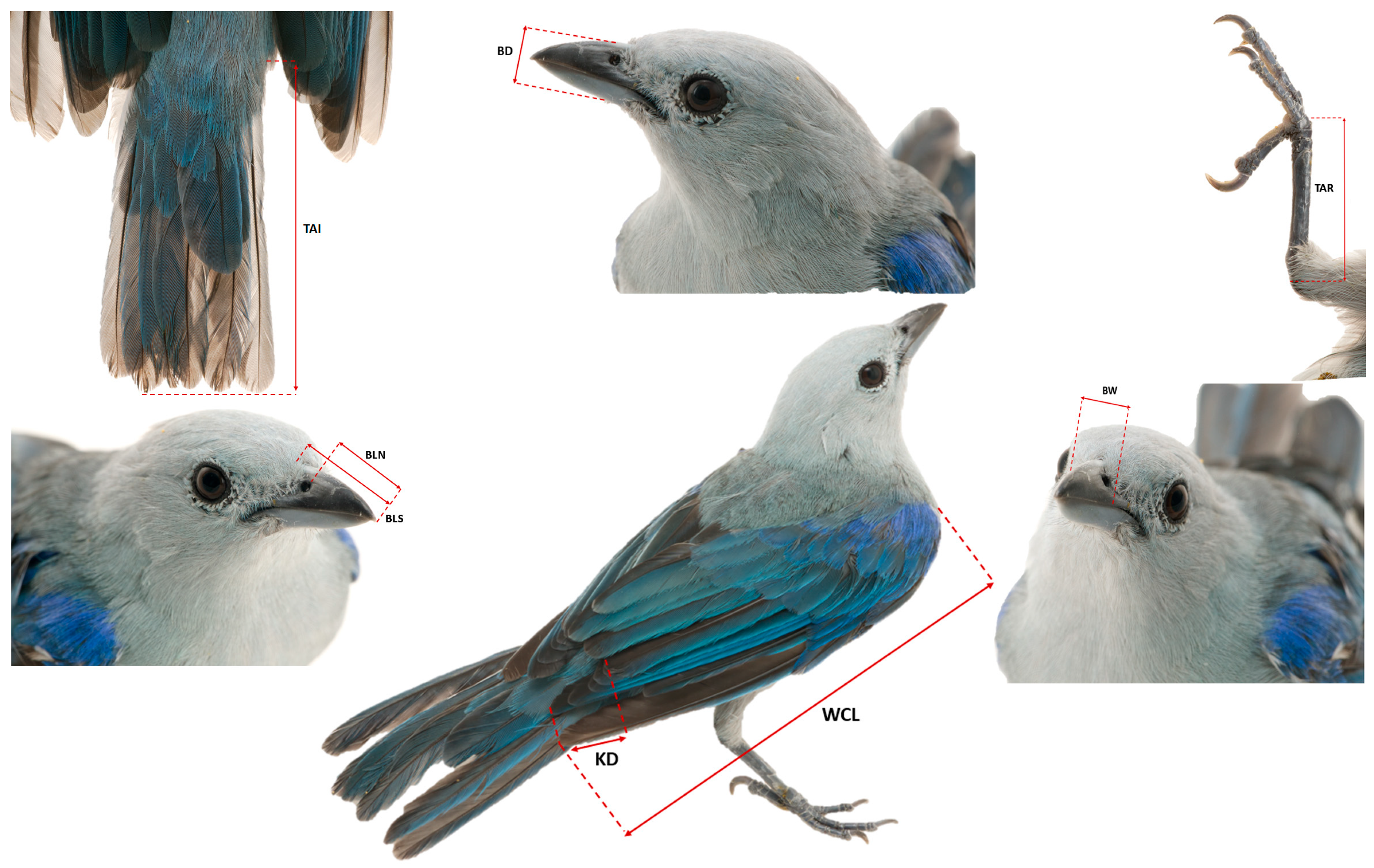 Ecologies 06 00052 g002