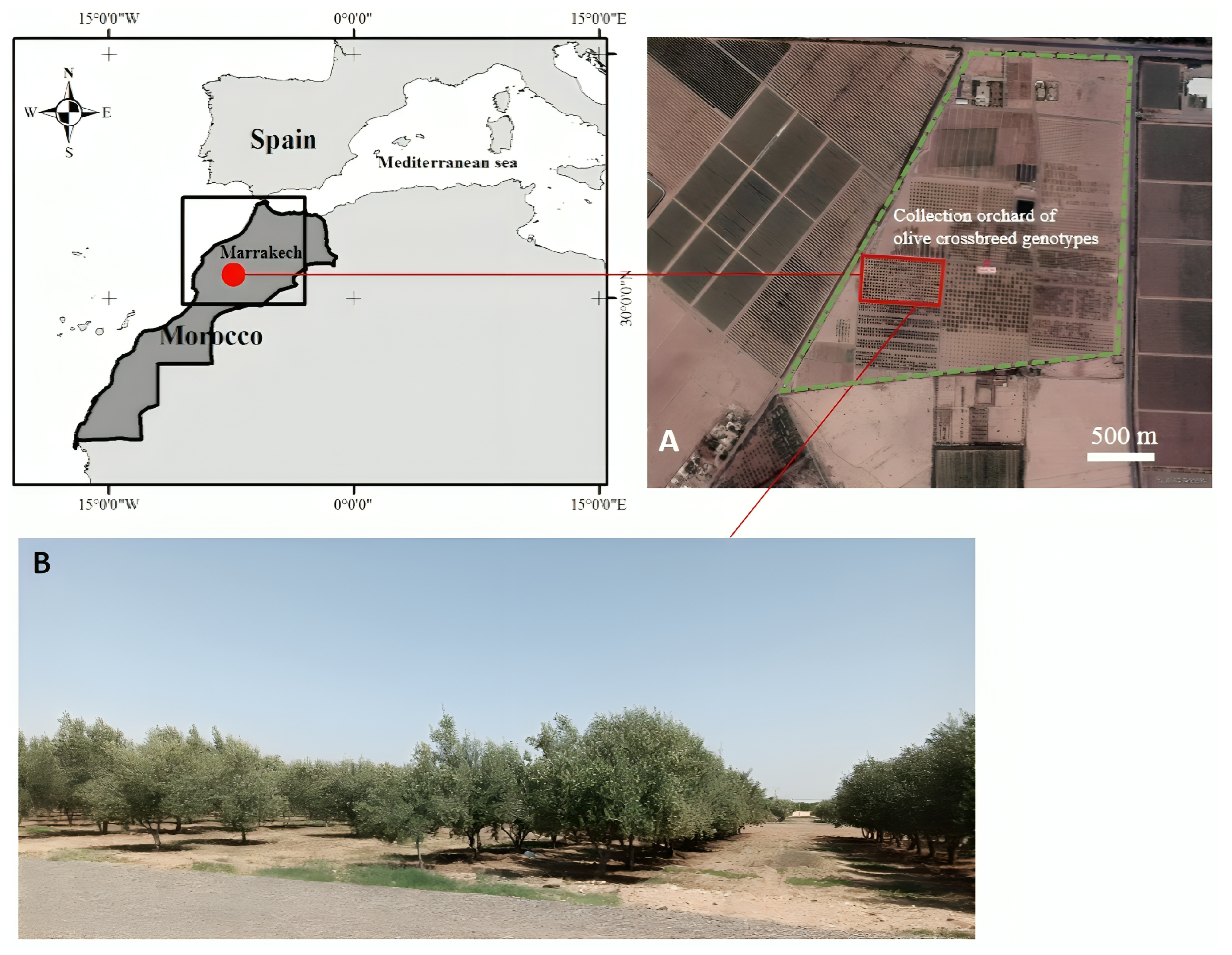 Ecologies 06 00066 g001