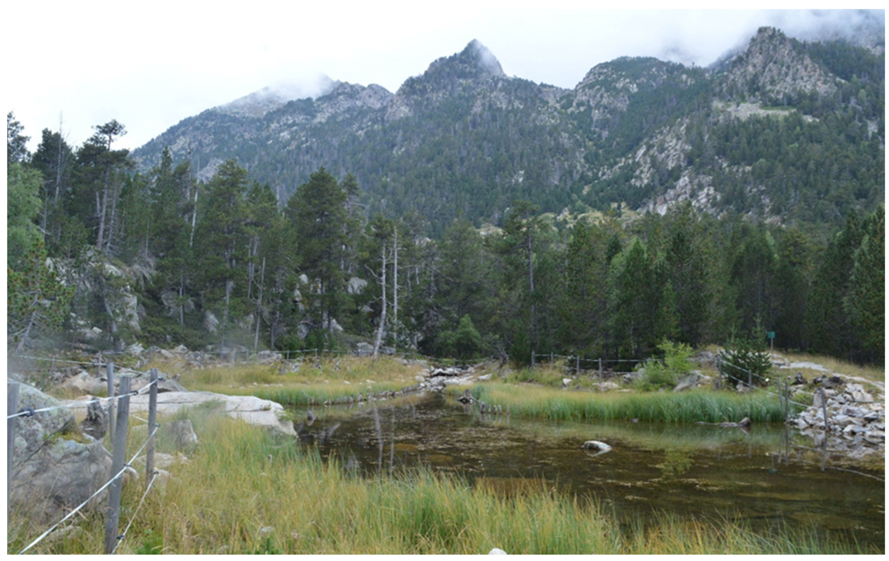 Ecologies 06 00067 g001