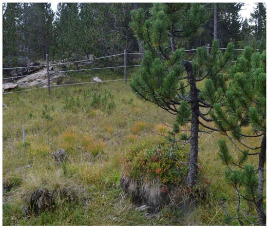 Ecologies 06 00067 g0a10