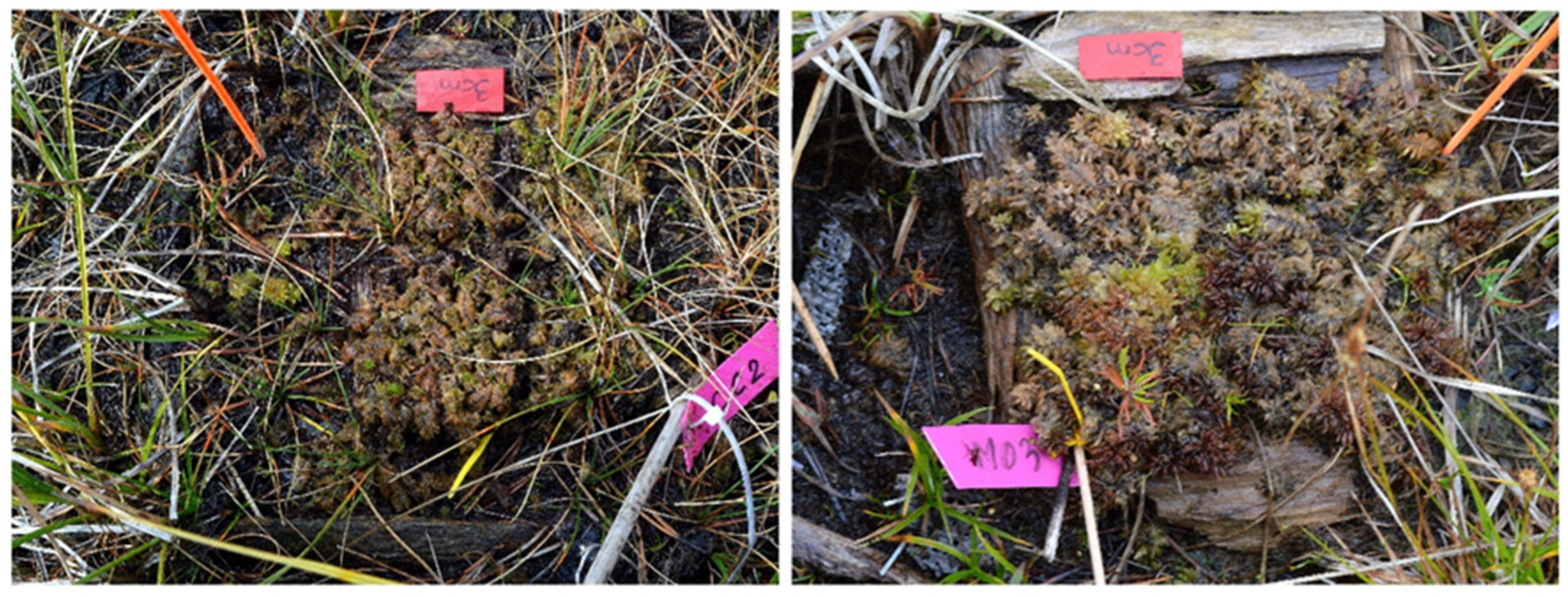 Ecologies 06 00067 g0a12