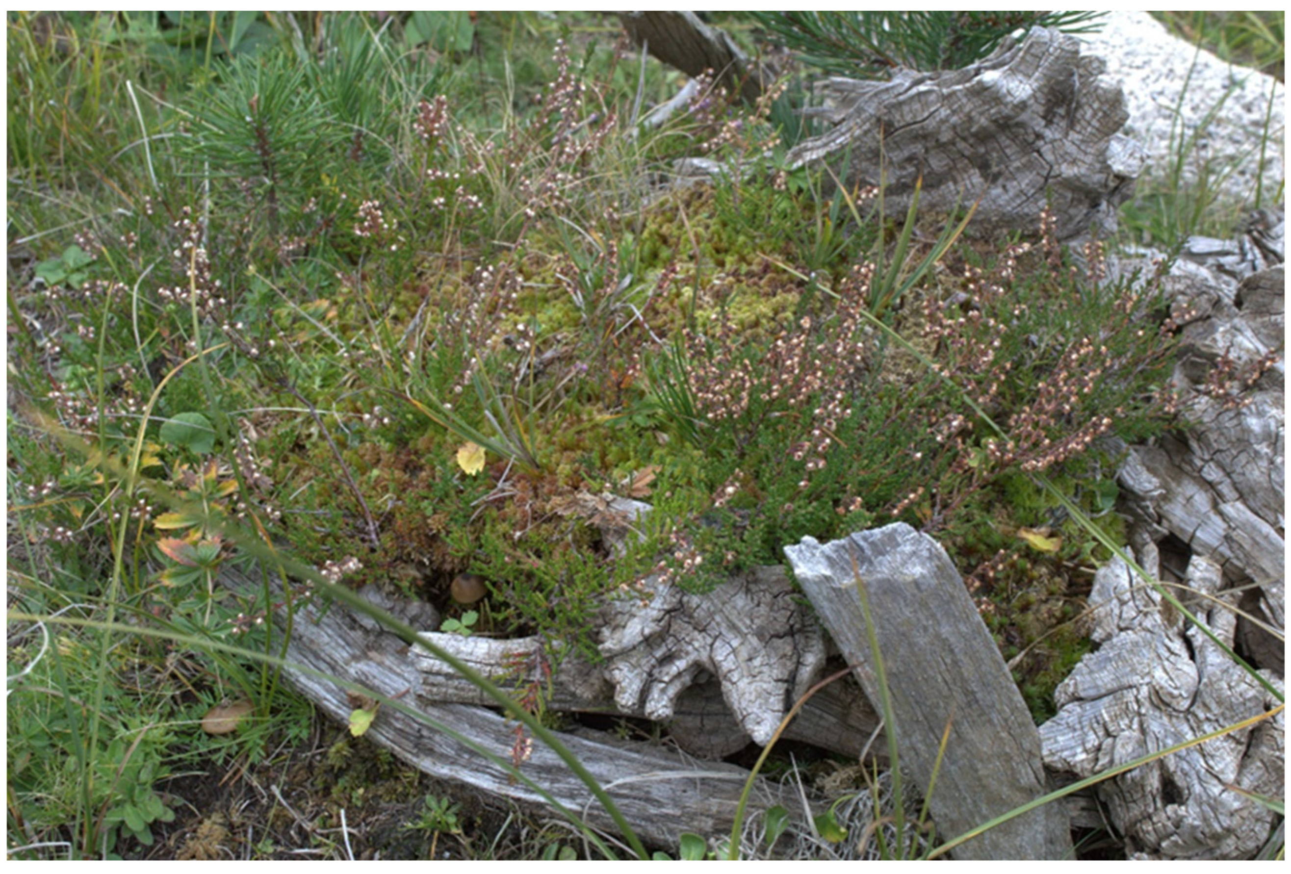 Ecologies 06 00067 g0a13