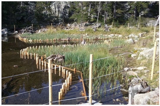 Ecologies 06 00067 g0a4