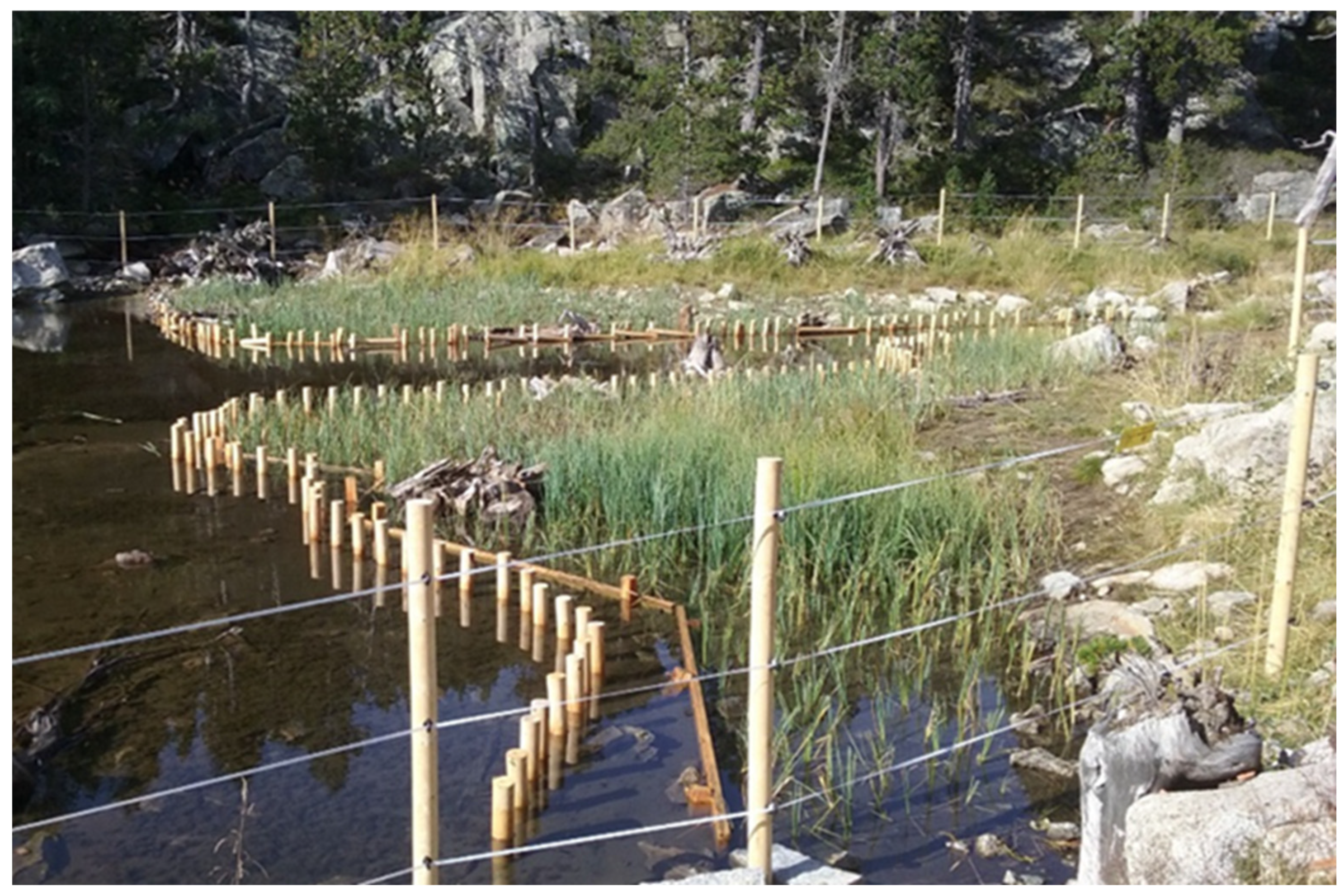 Ecologies 06 00067 g0a4