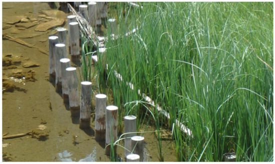 Ecologies 06 00067 g0a5