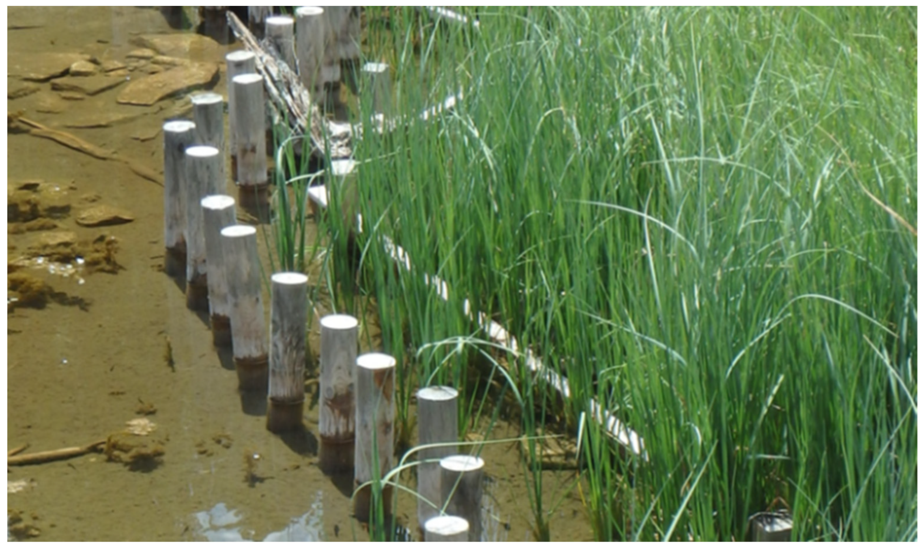 Ecologies 06 00067 g0a5