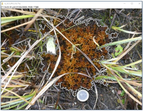 Ecologies 06 00067 g0a7