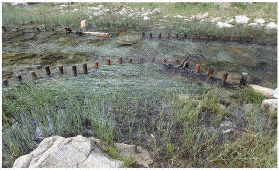 Ecologies 06 00067 g0a9