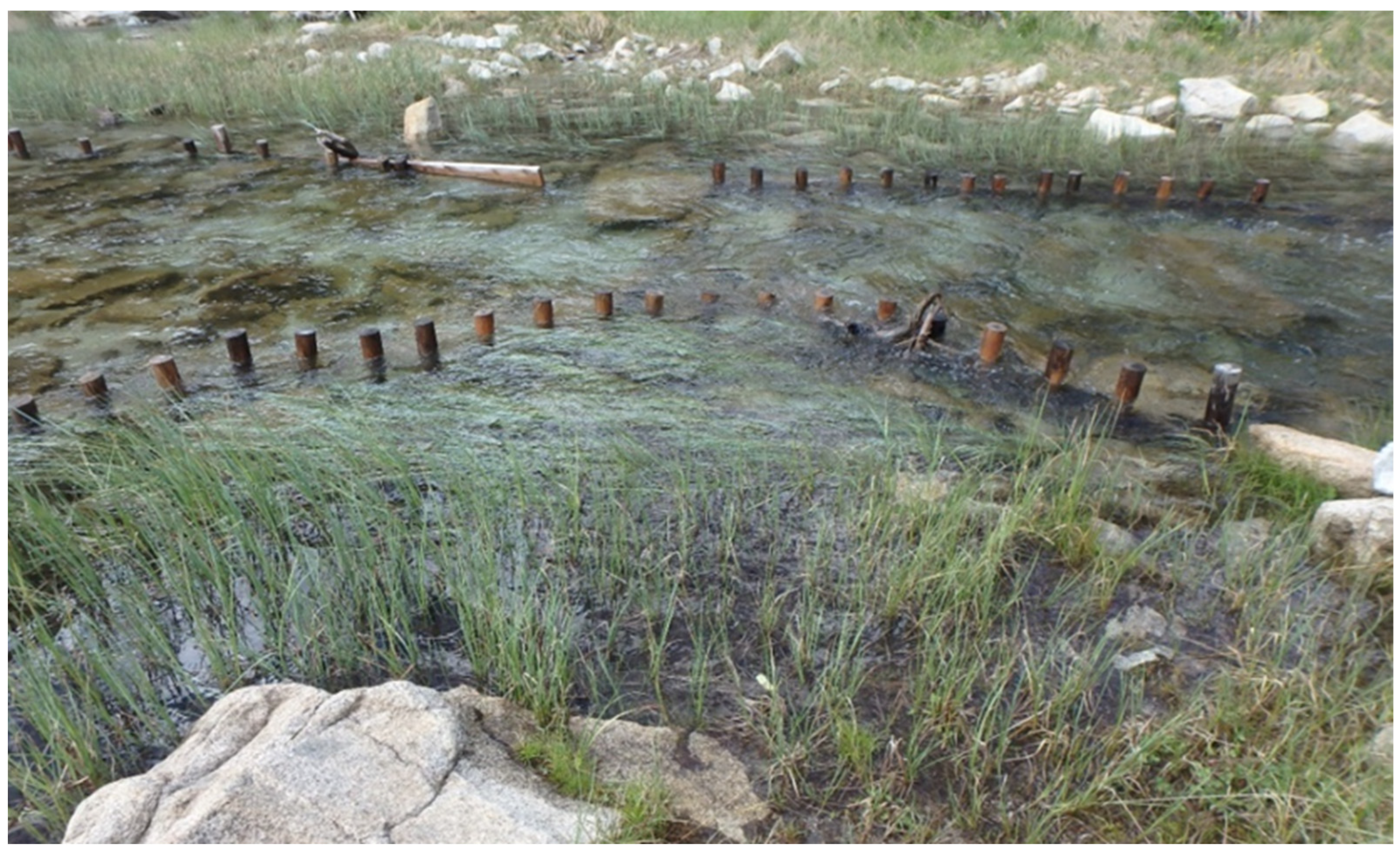 Ecologies 06 00067 g0a9