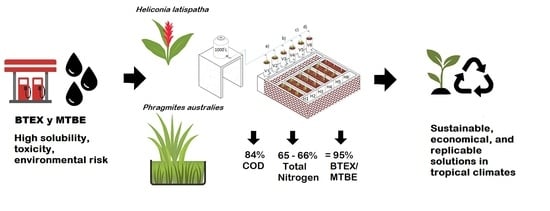 Hybrid constructed wetland (HCW) system at the Constructed Wetlands Laboratory, TecNM Misantla Campus.
