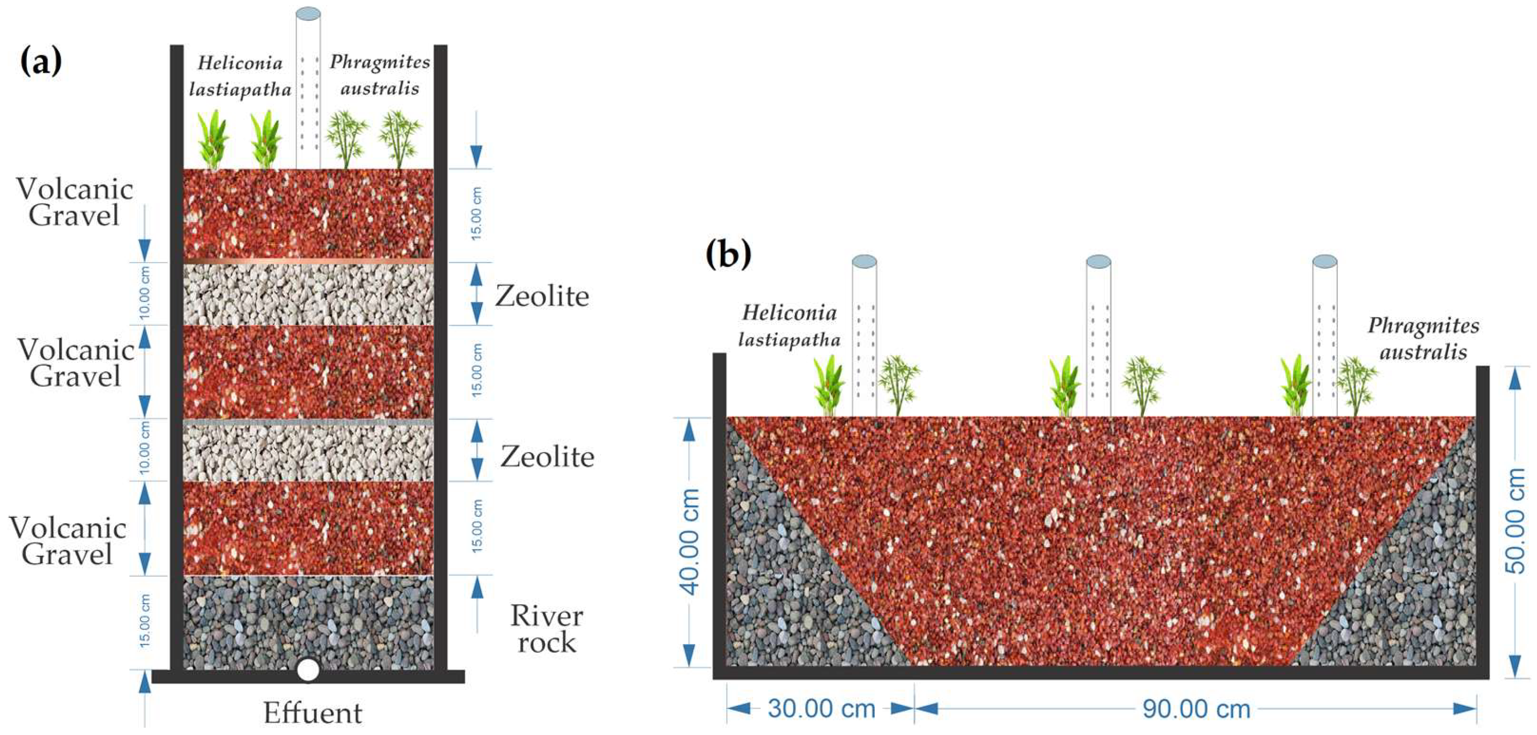 Ecologies 06 00084 g003