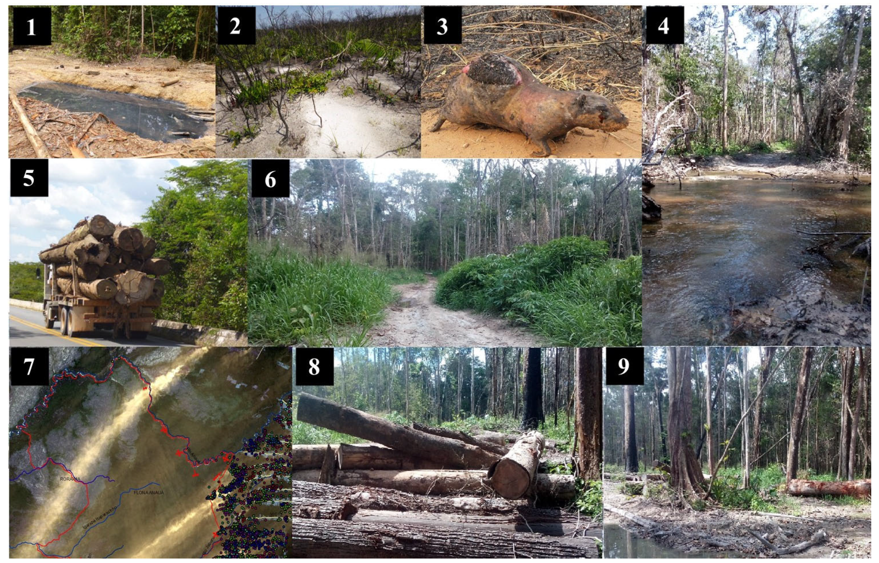 Ecologies 07 00002 g006