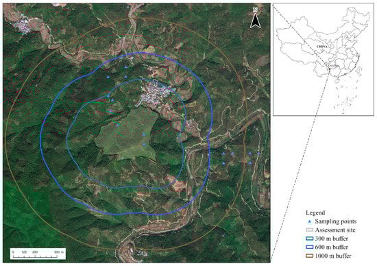 The assessment site, field survey, and exclusion experiment sample plots.
