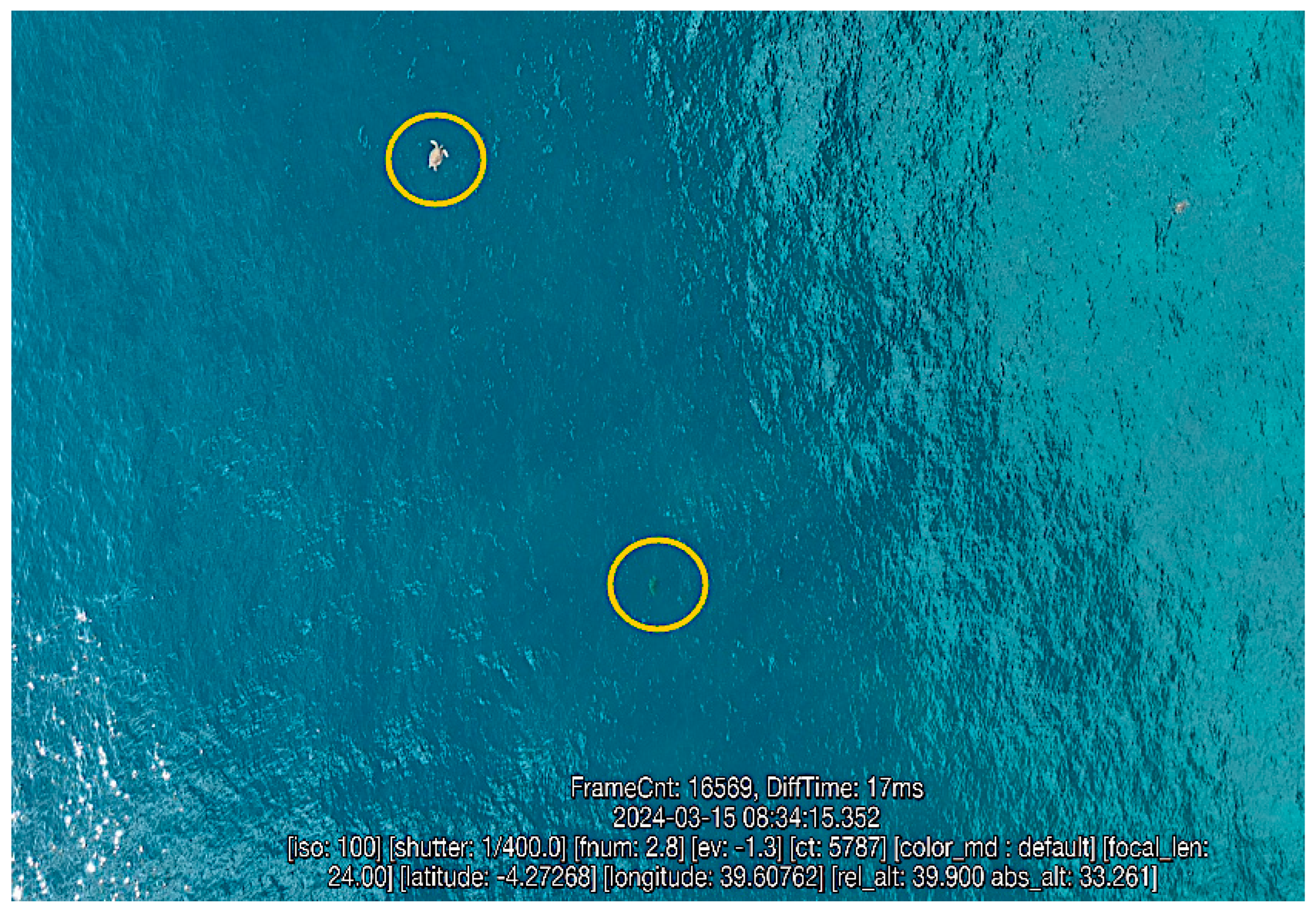 Ecologies 07 00014 g002 Ecologies 07 00014 g002