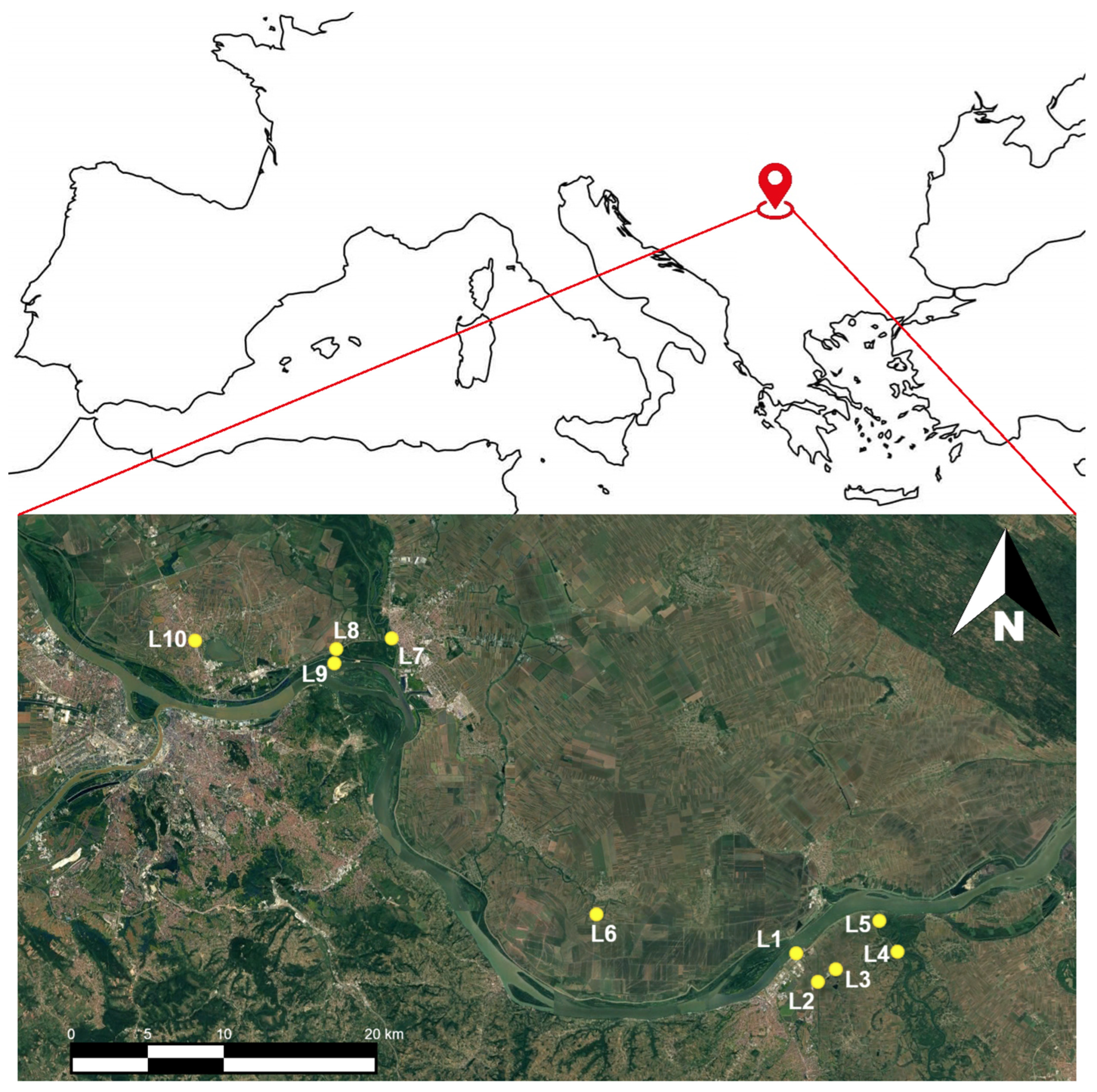 Ecologies 07 00028 g001
