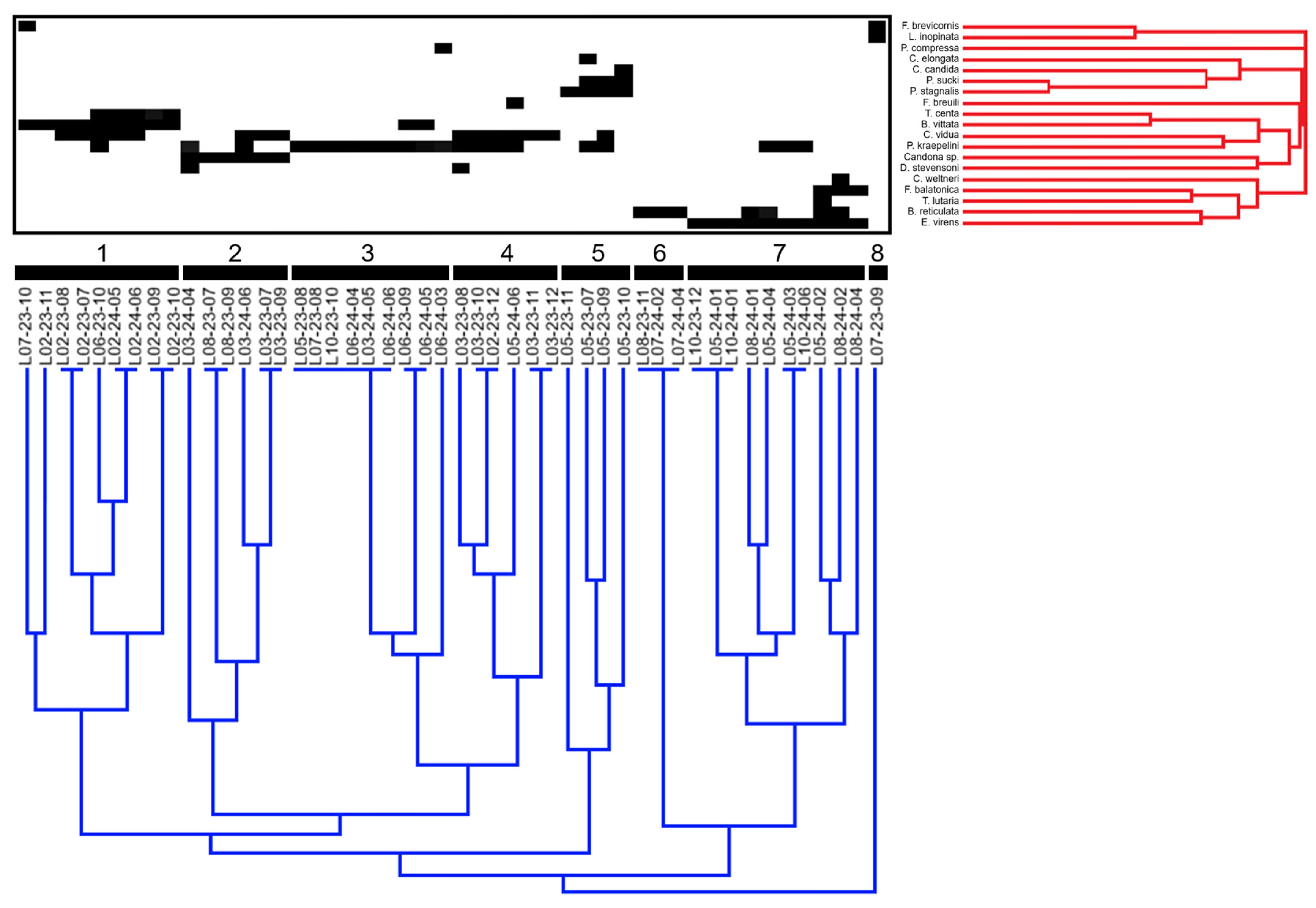 Ecologies 07 00028 g005