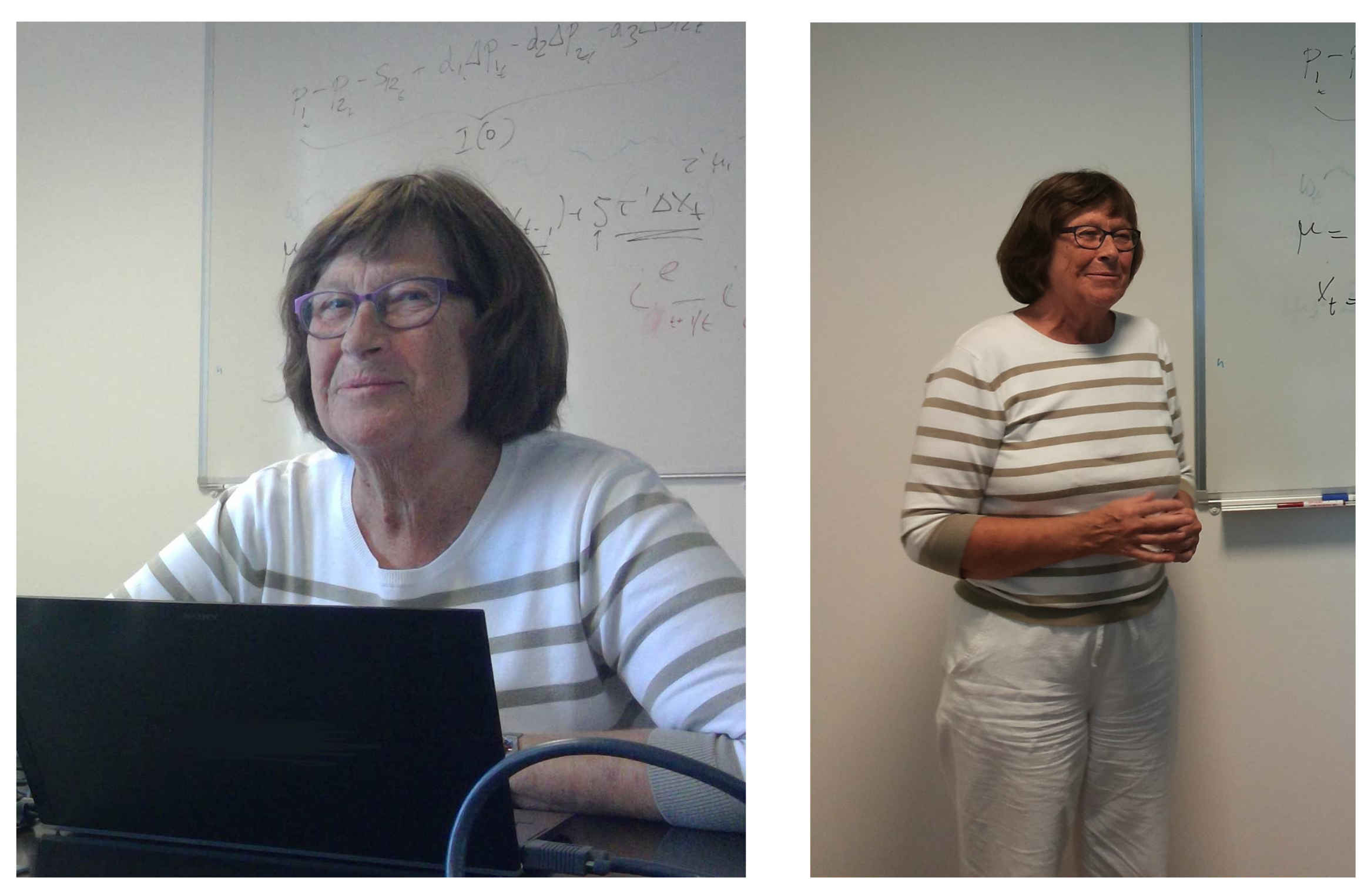 Econometrics 10 00020 g002