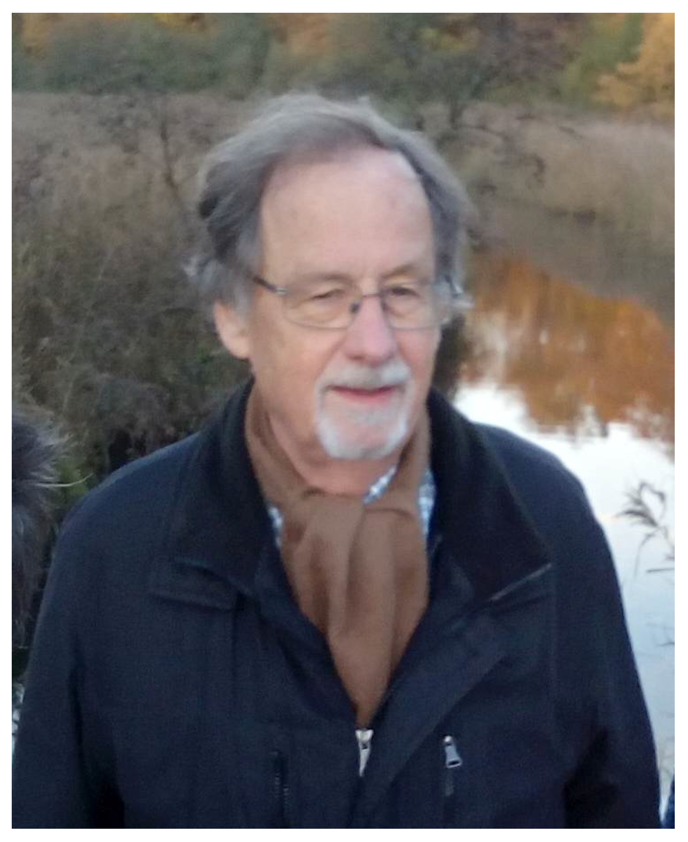 Econometrics 10 00021 g001