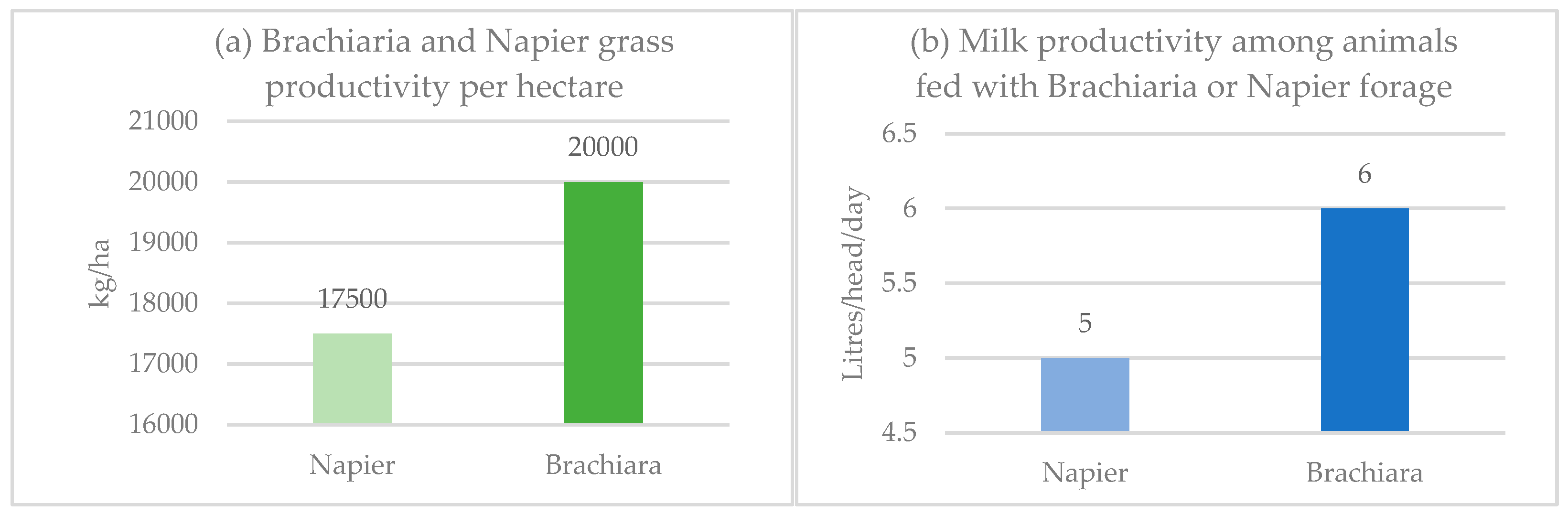 Economies 12 00177 g003 Economies 12 00177 g003