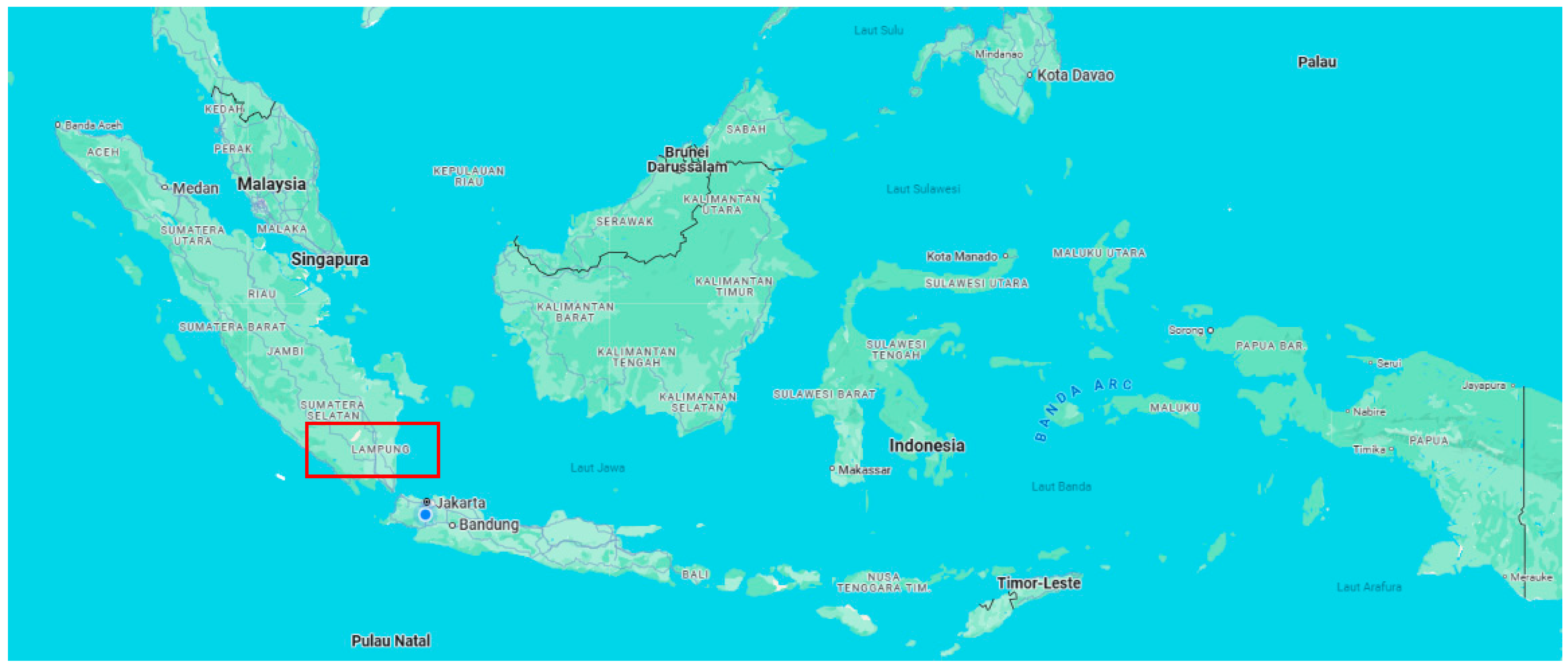 Economies 12 00349 g001