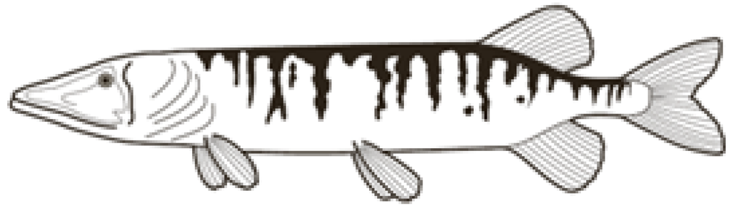 Education 03 00172 g001 1024