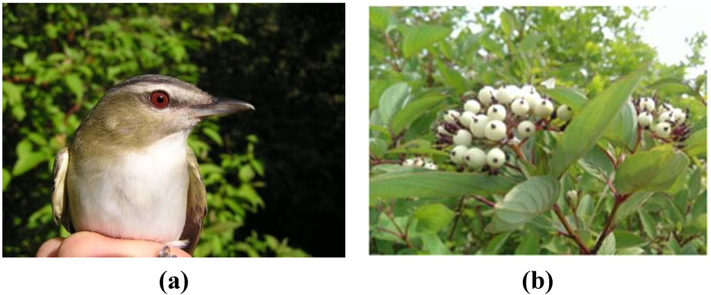 Education 05 00146 g001 1024