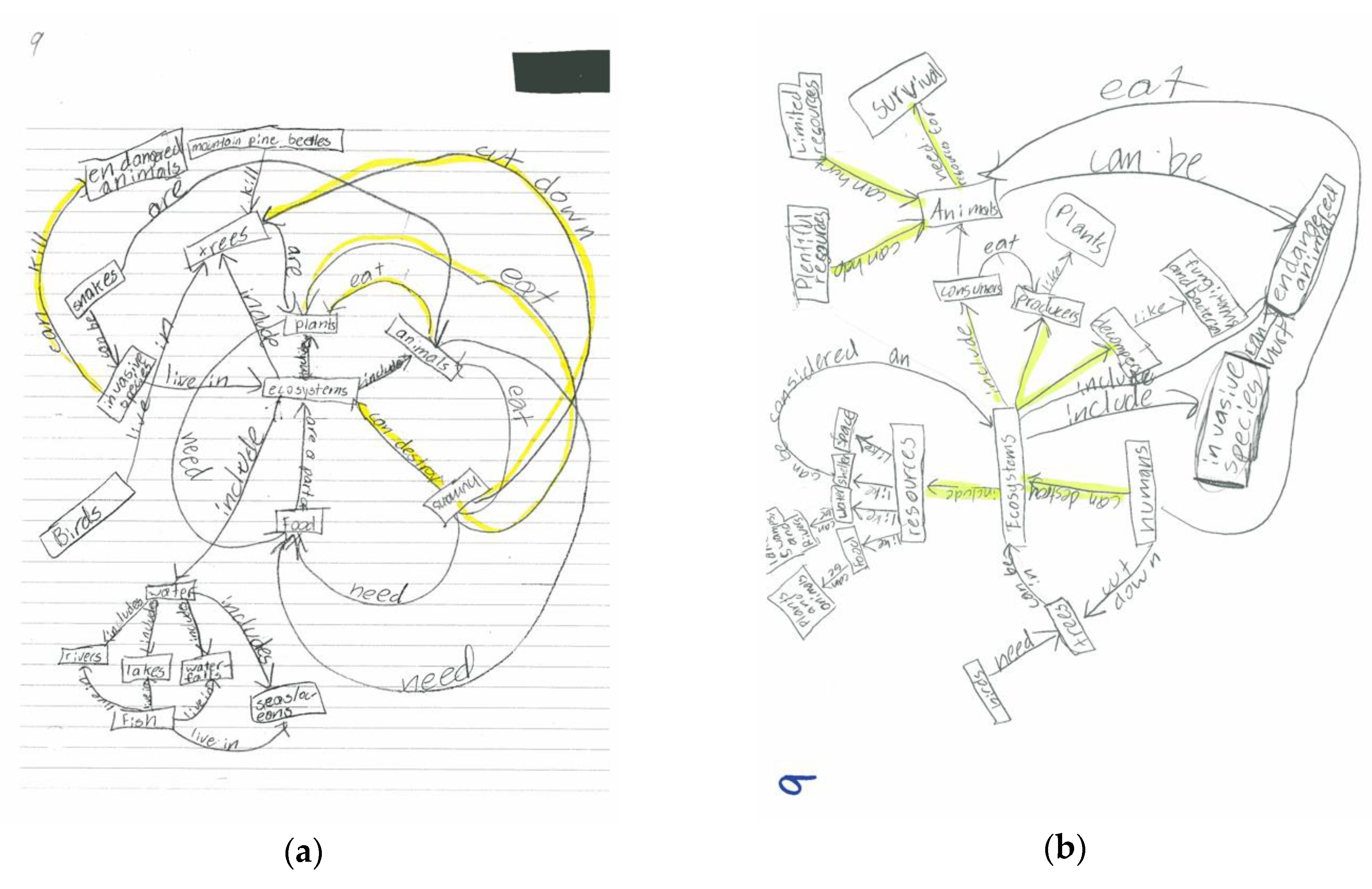 Education 08 00013 g003 Education 08 00013 g003