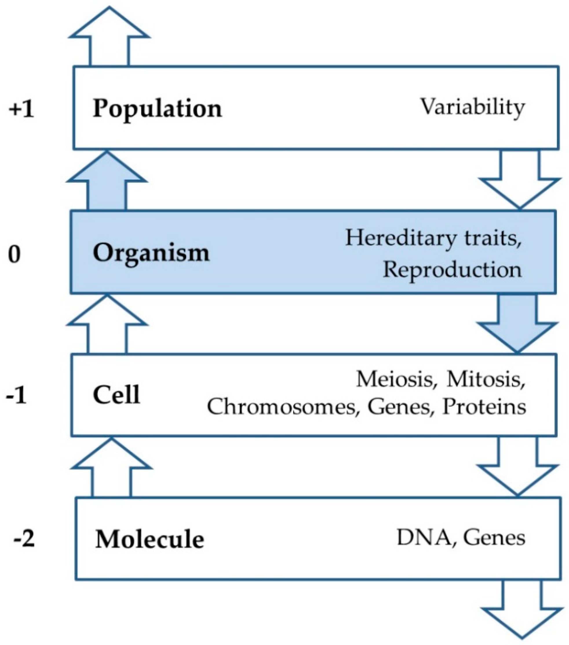 Education 08 00129 g004
