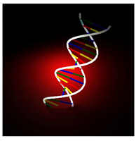 Education 08 00166 i002 Education 08 00166 i002