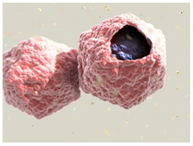 Education 08 00166 i003 Education 08 00166 i003