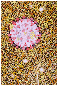 Education 08 00166 i004 Education 08 00166 i004